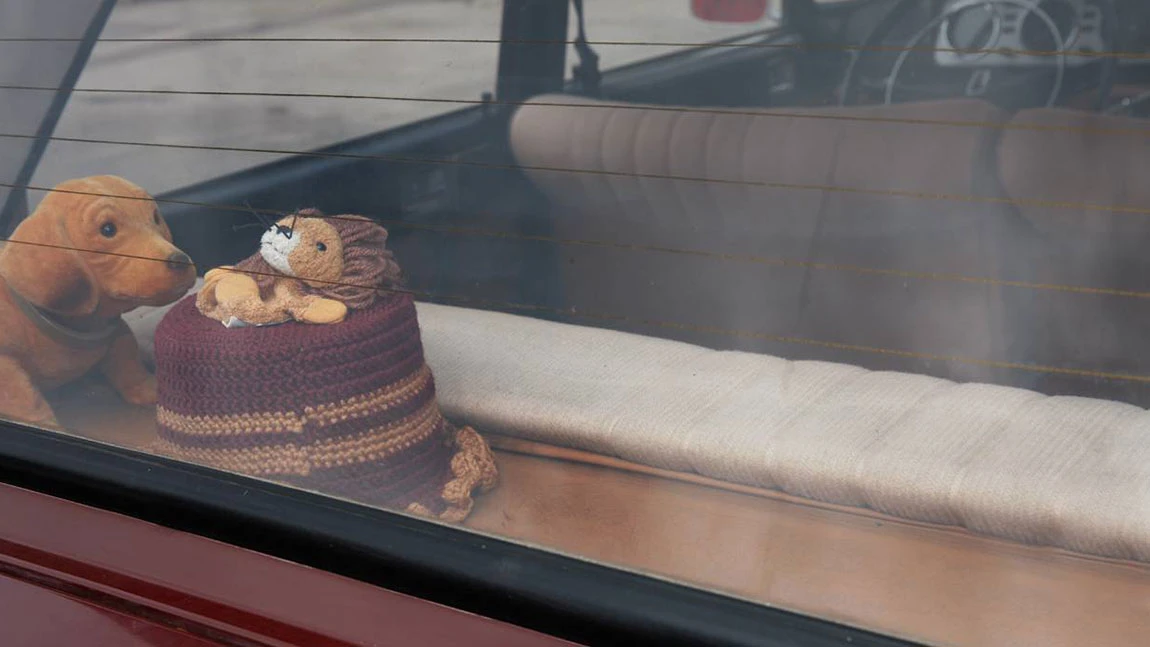 Ein Wackeldackel auf der Hutablage eines Autos, für ihn gelten keine speziellen Einreisebestimmungen im Ausland. Für seine realen Vorbilder schon.