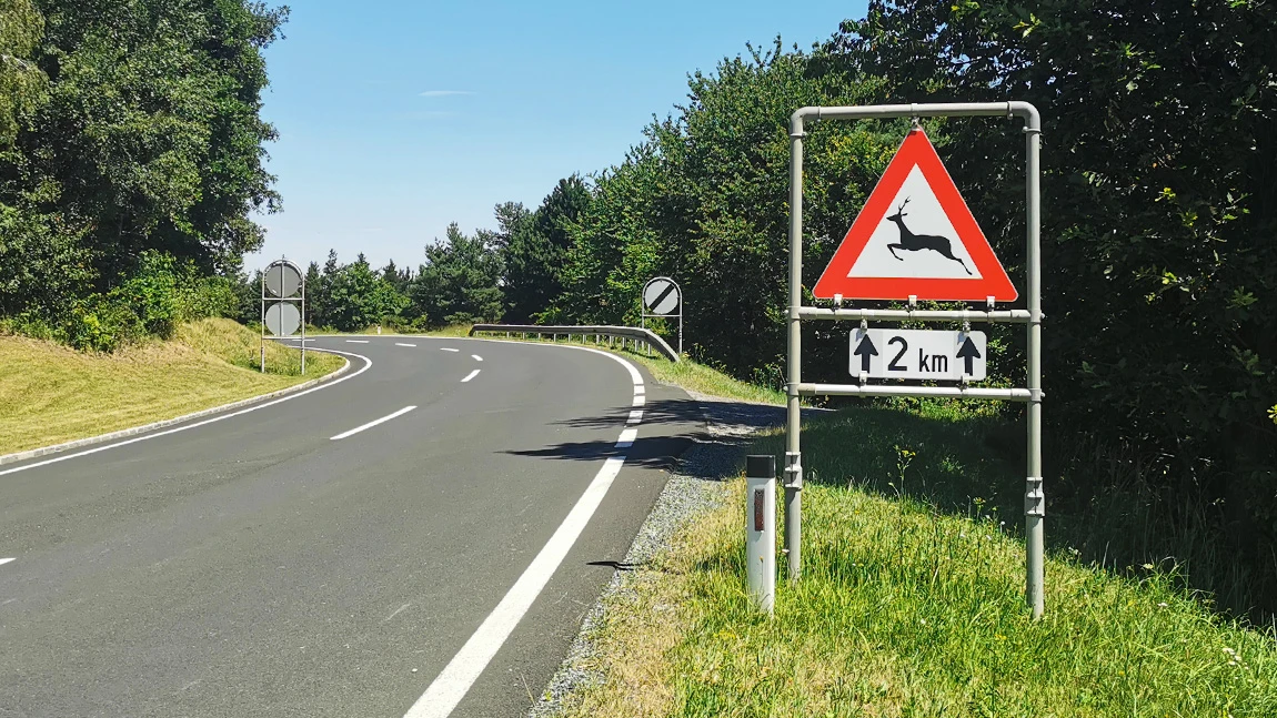 Wildunfall: So reagiert man richtig