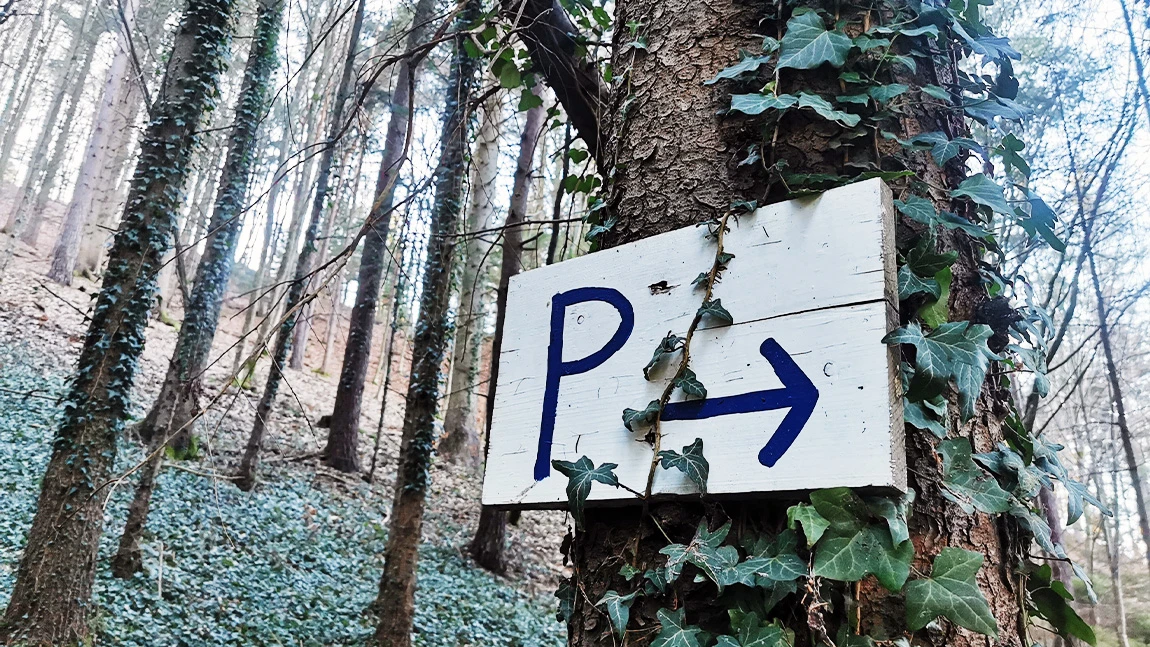 Parken: 7 gängige Irrtümer