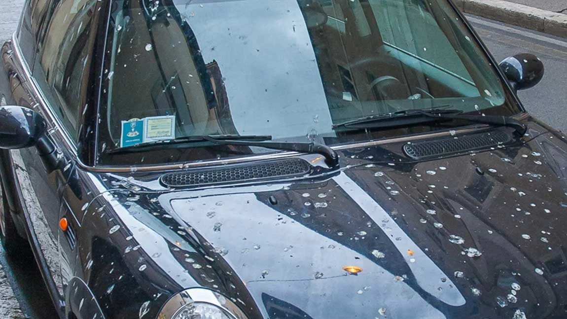 Harz vom Auto entfernen ist ganz einfach, Vogelkot auch.