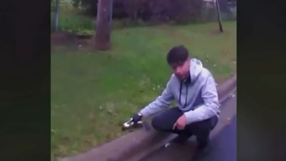 Wie dieser Jugendliche ein angefahrenes Eichhörnchen wiederbelebte