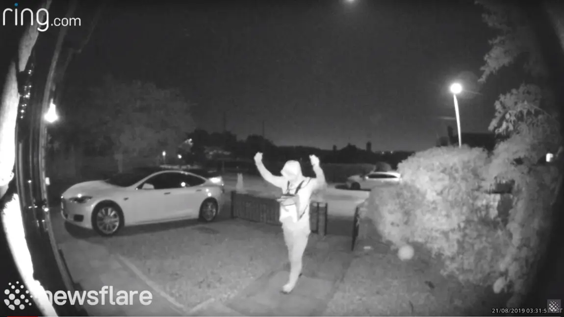 Keyless-Hack: Wie diese Männer in nur 30 Sekunden einen Tesla stehlen [Video]