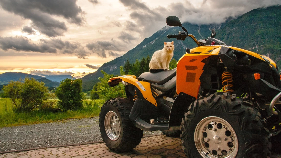 Quad und ATV in Österreich: Die wichtigsten Infos im Überblick