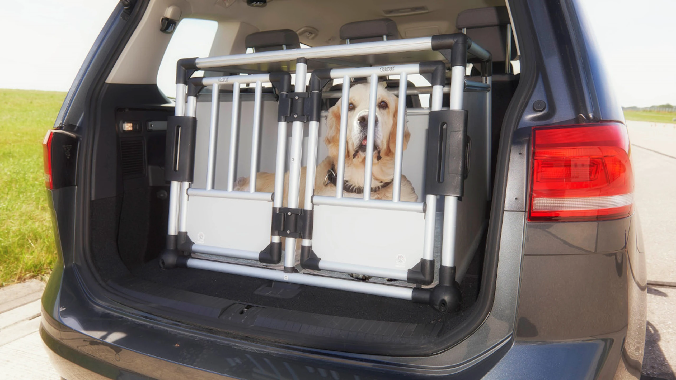 Auto-Hundebox: Sicherheit für Tier und Mensch [+Alternativen]