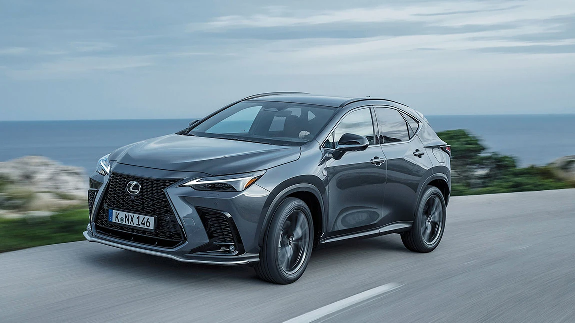 Lexus NX: Ich grille eine Familie