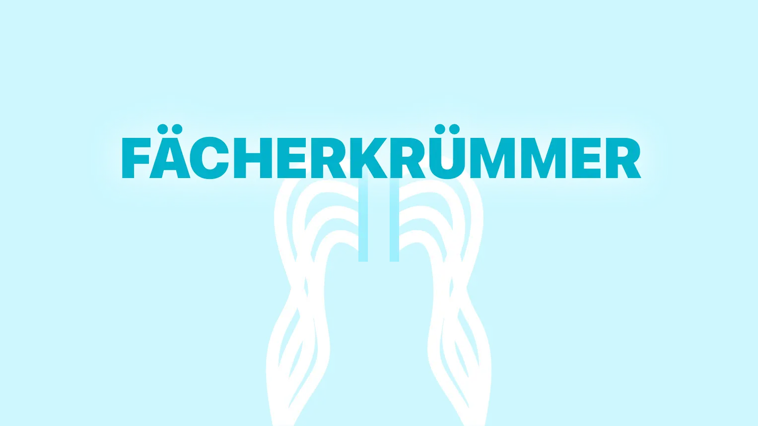 Grafische Darstellung des Fächerkrümmers.