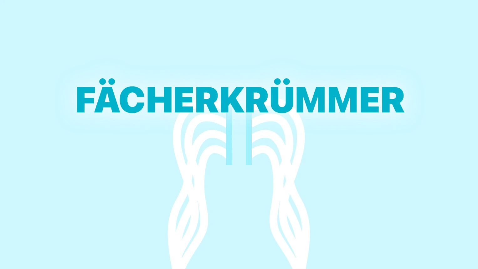 Grafische Darstellung des Fächerkrümmers.