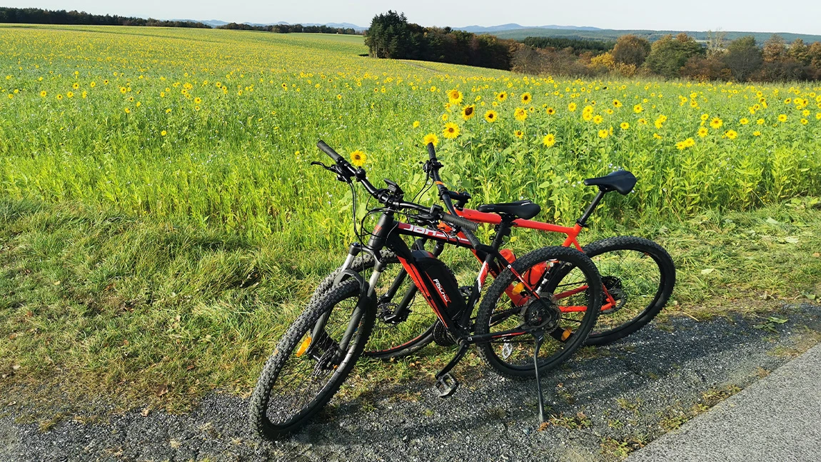 Radfahren in Österreich: Was man wissen muss [Ratgeber]
