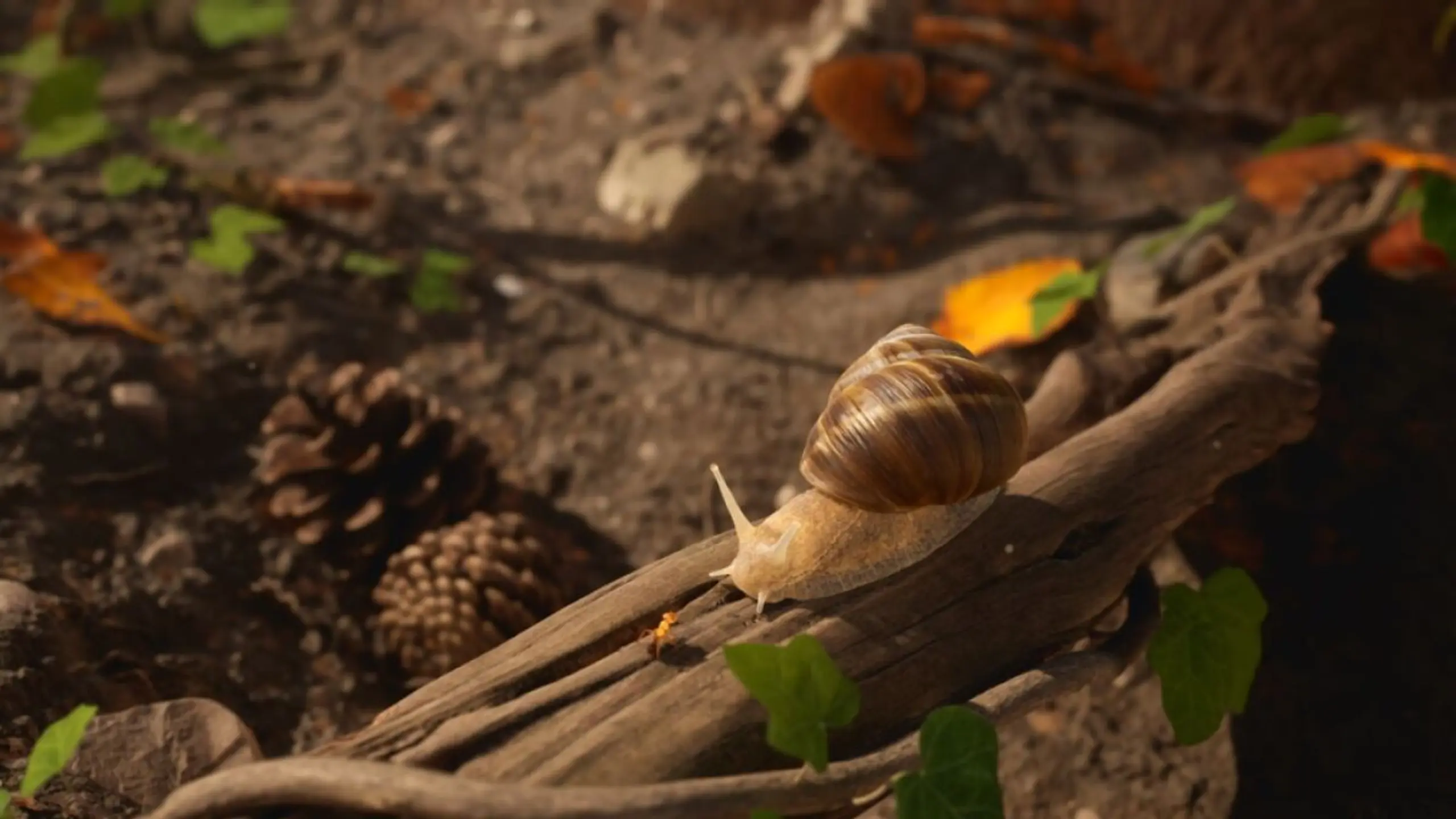 Zum Glück sind nicht alle kleinen Waldbewohner feindselig gestimmt