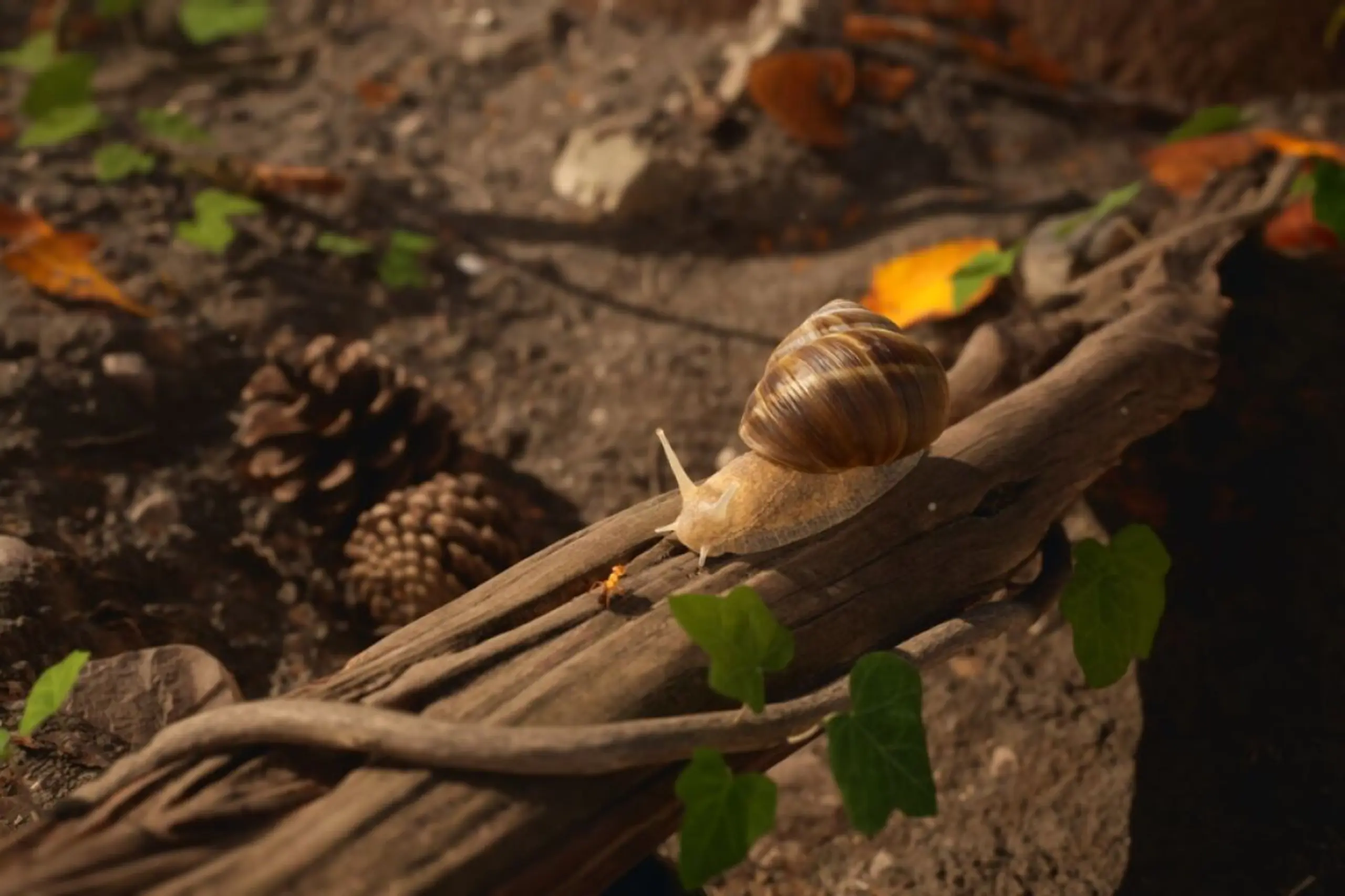 Zum Glück sind nicht alle kleinen Waldbewohner feindselig gestimmt