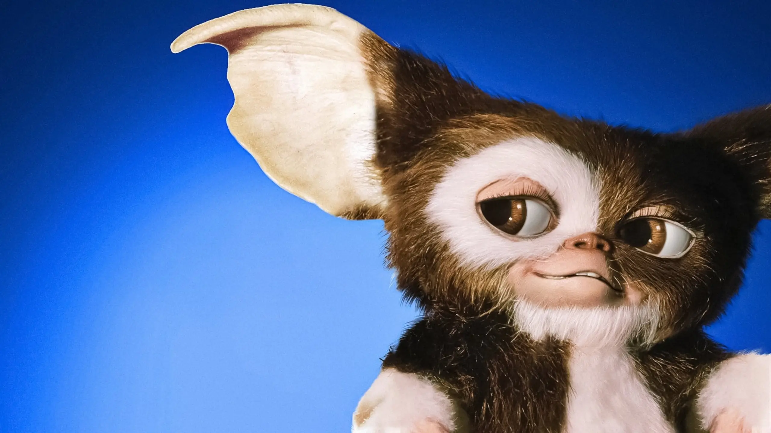 Gremlins – Kleine Monster