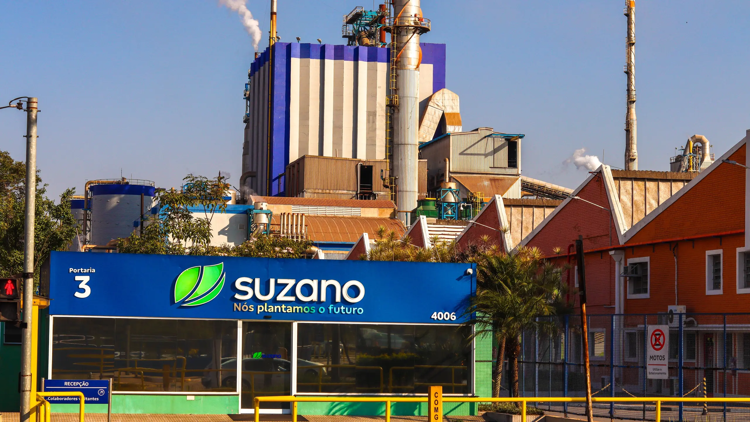 © rafaelnlins/Shutterstock.com Artikelbild