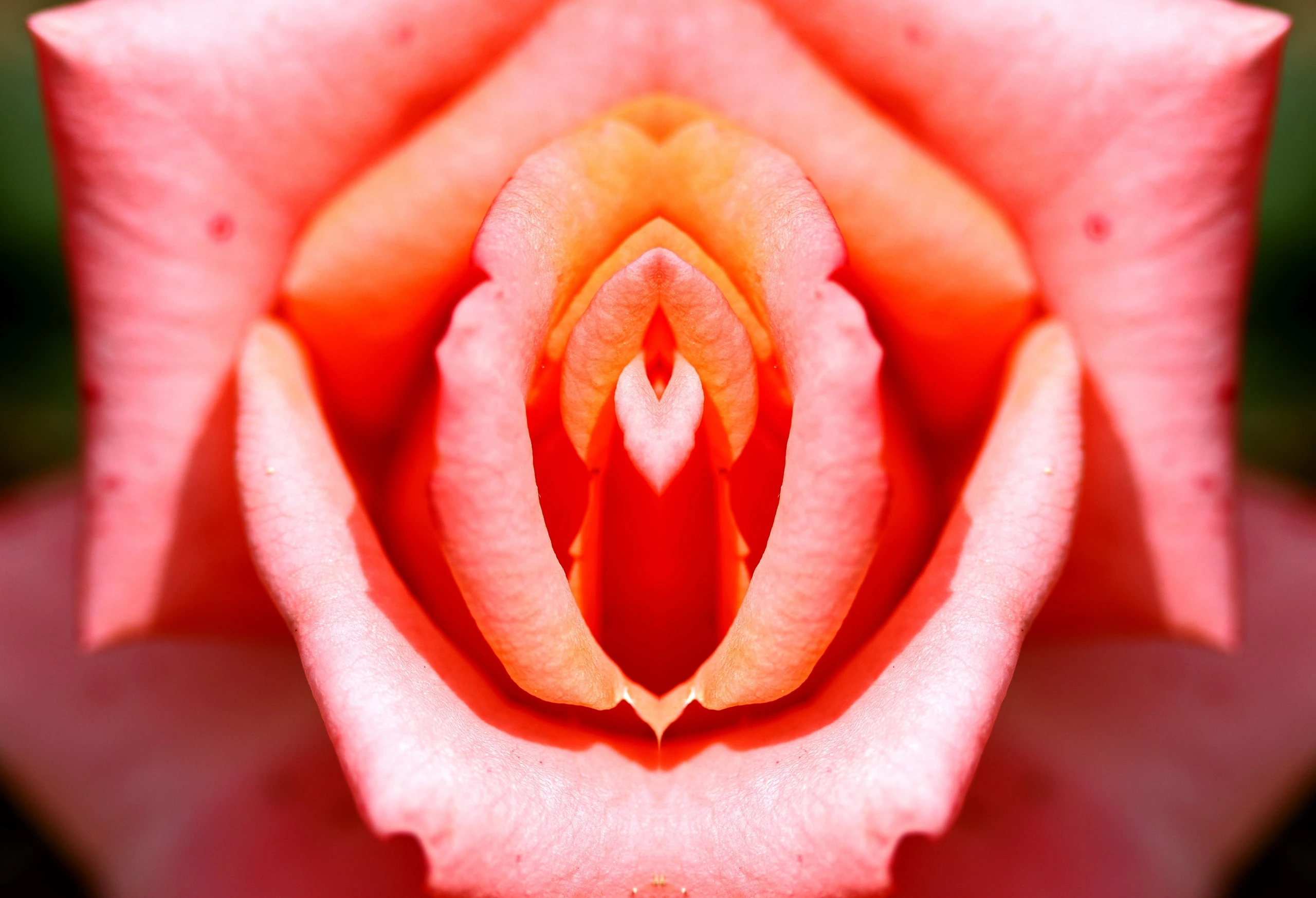 Die Orgasmus-Lücke: Die 5 größten Mythen über Intimität