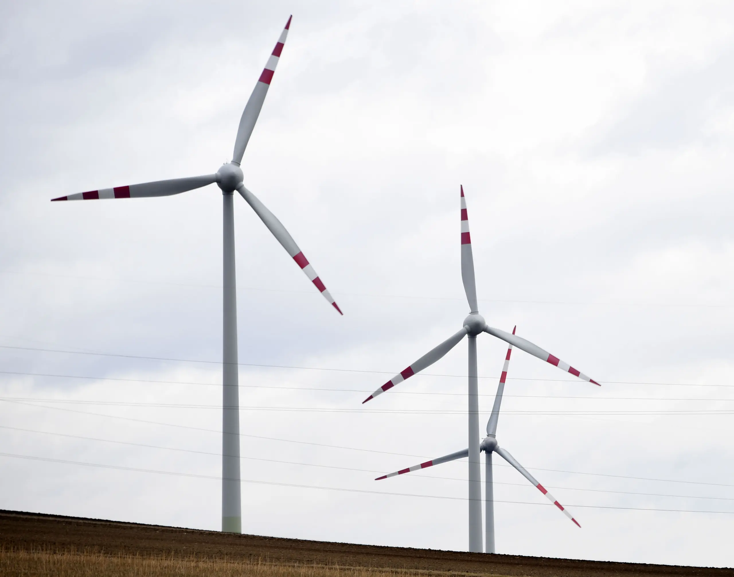 Kärnten: Wirtschaft gegen Verbot von Windkraft