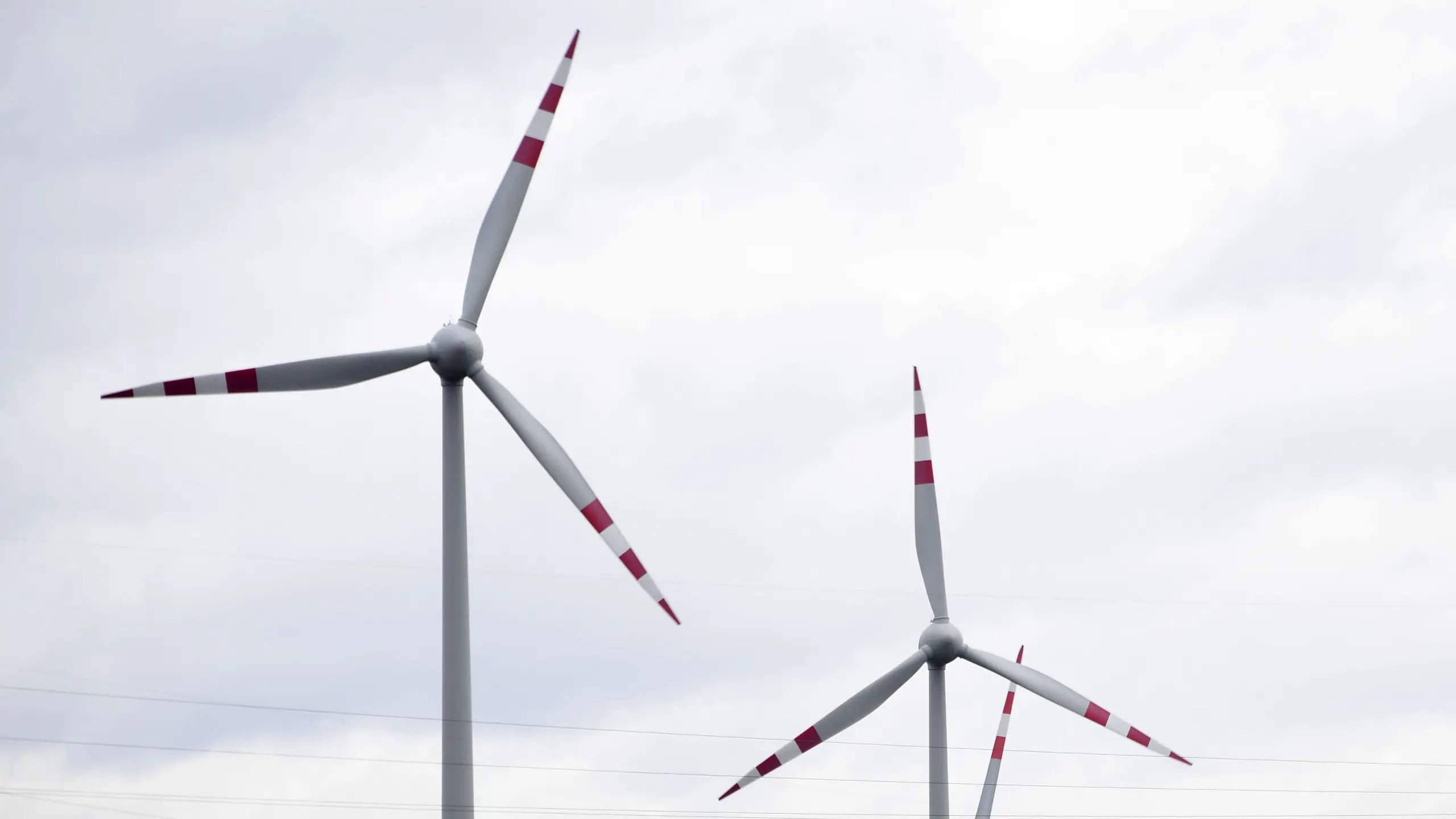 © APA/HELMUT FOHRINGER Artikelbild