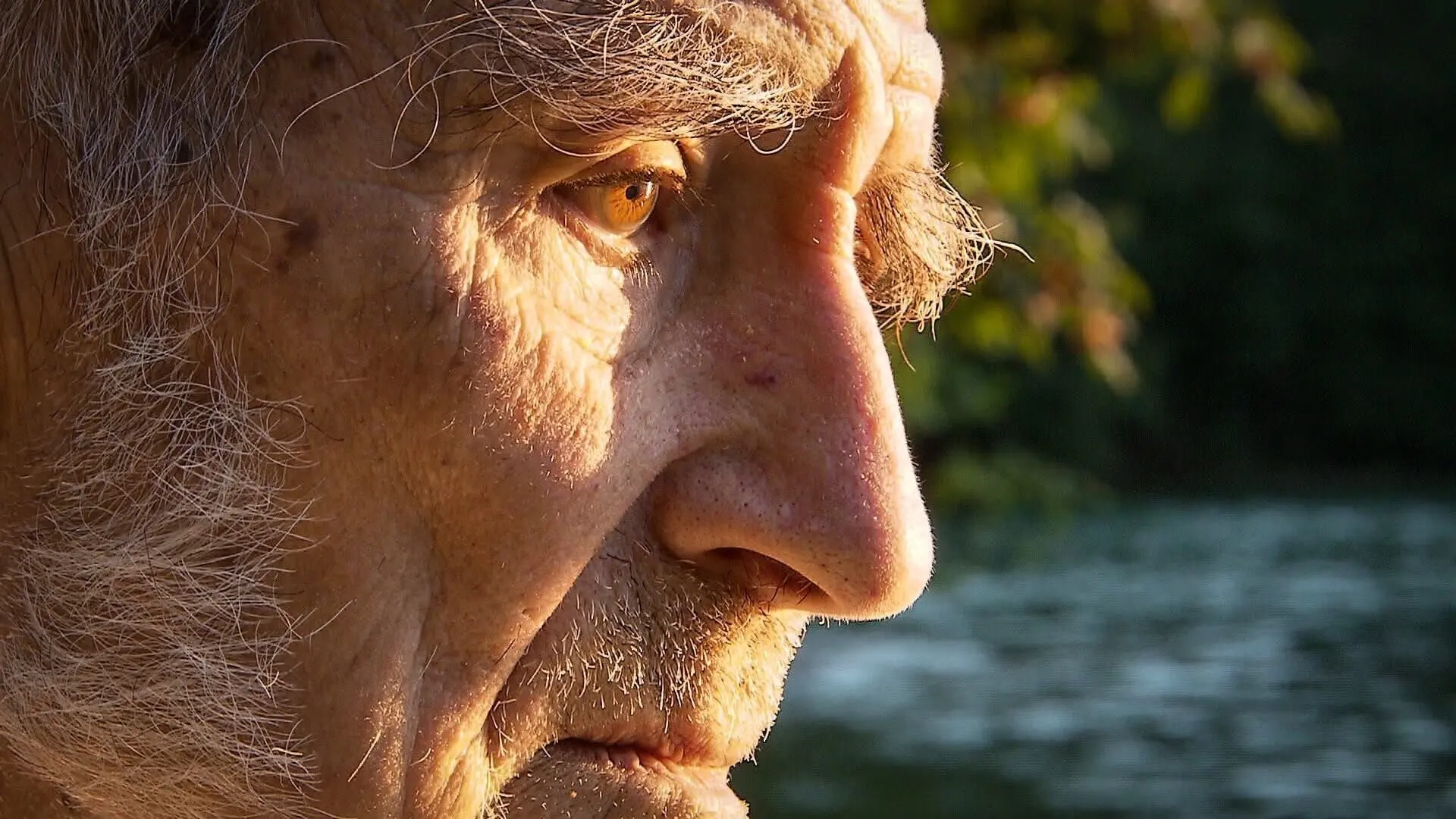 Dem Geheimnis auf der Spur - Bruder David Steindl-Rast