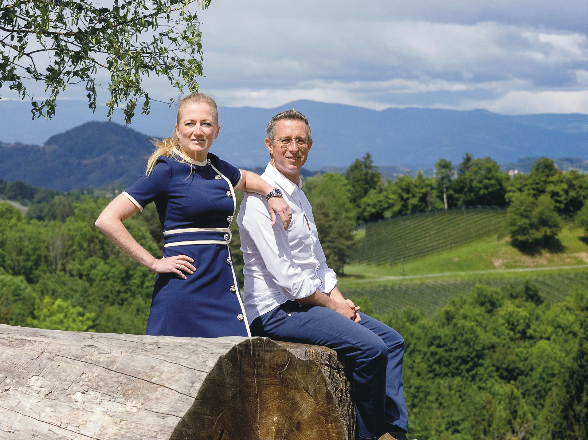 Weinbau im Wandel