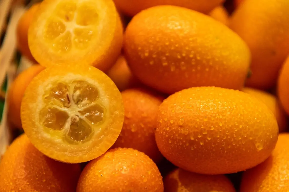 Kumquats sind nur zwetschkengroß, vereinen in sich aber süße und saure Aromen