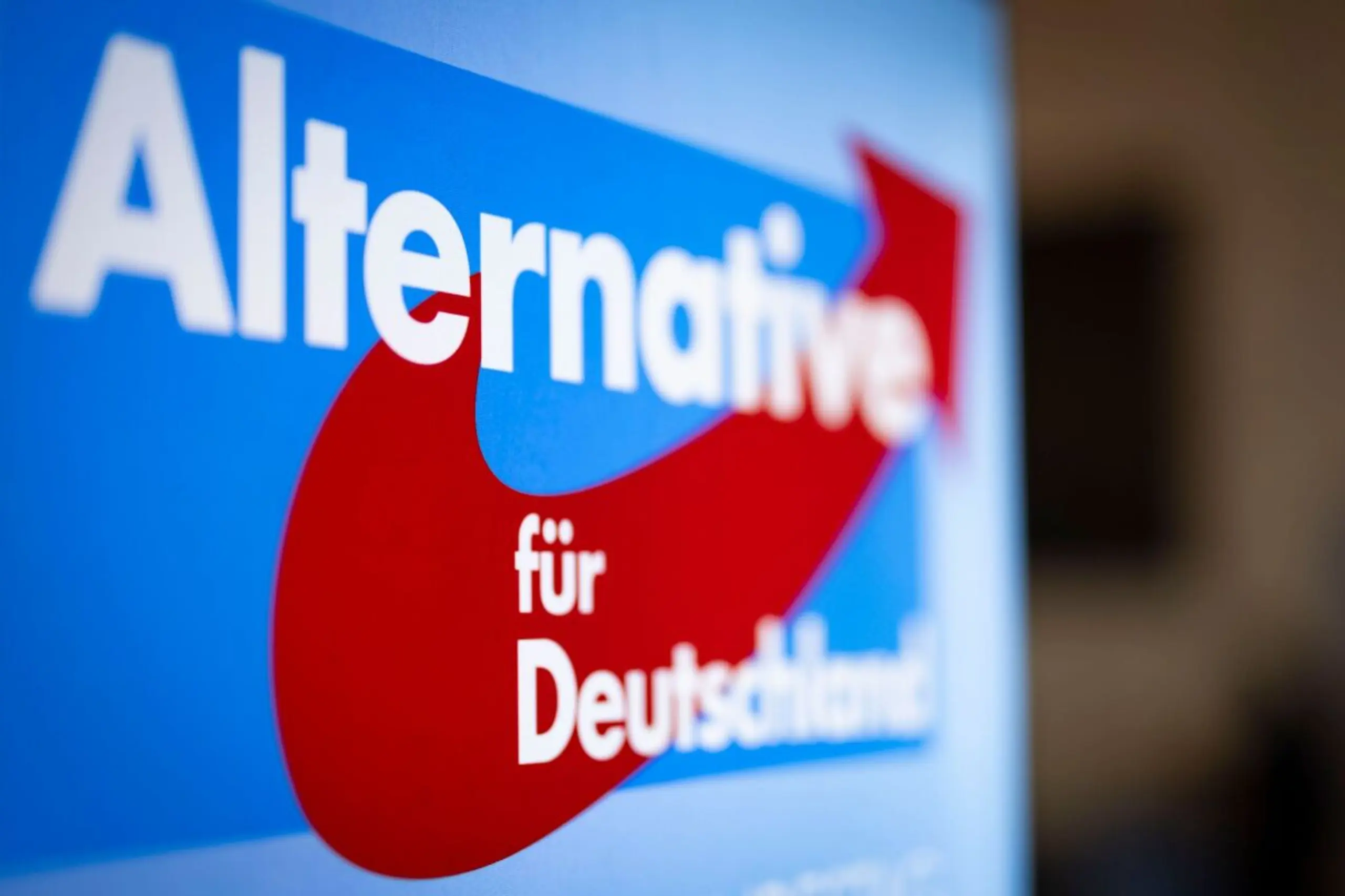 Die AfD erhielt eine Millionenspende aus Vorarlberg.