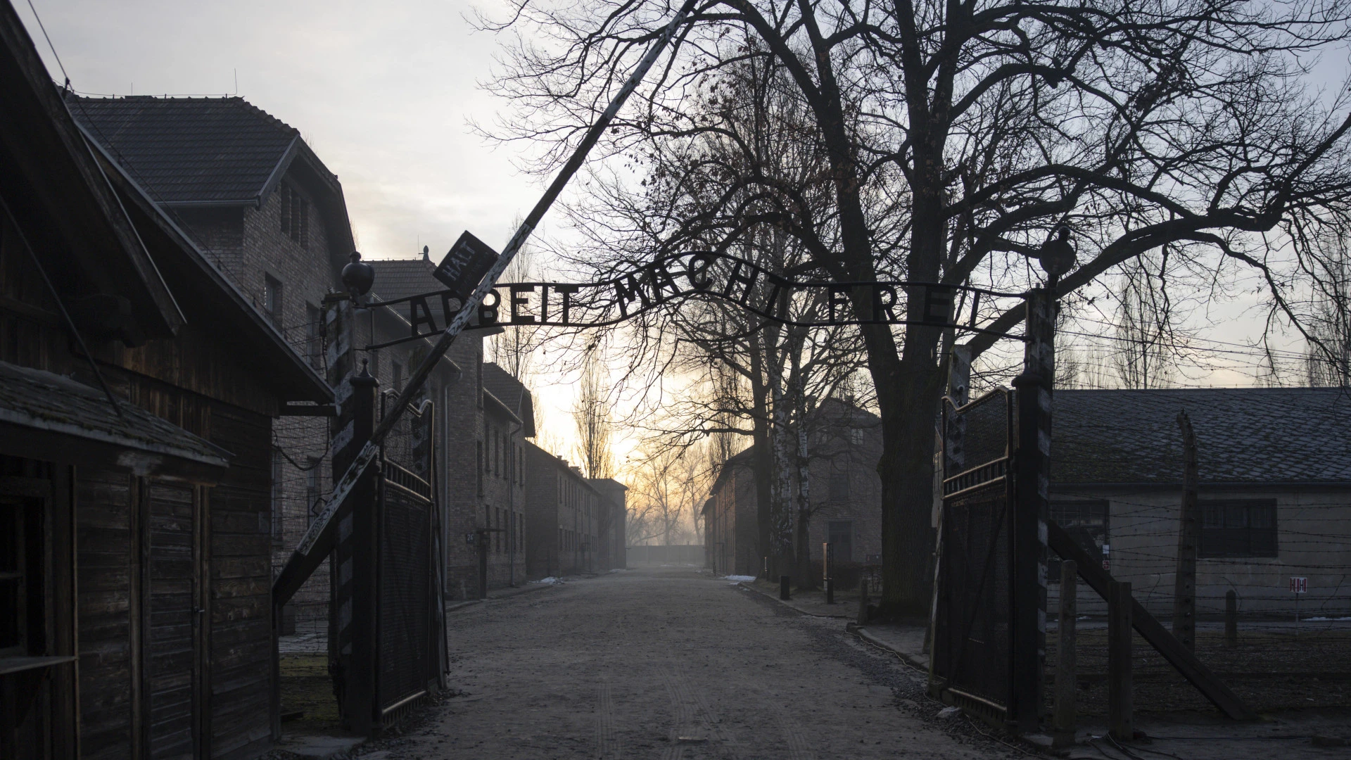 Schlaglichter: Bei uns in Auschwitz