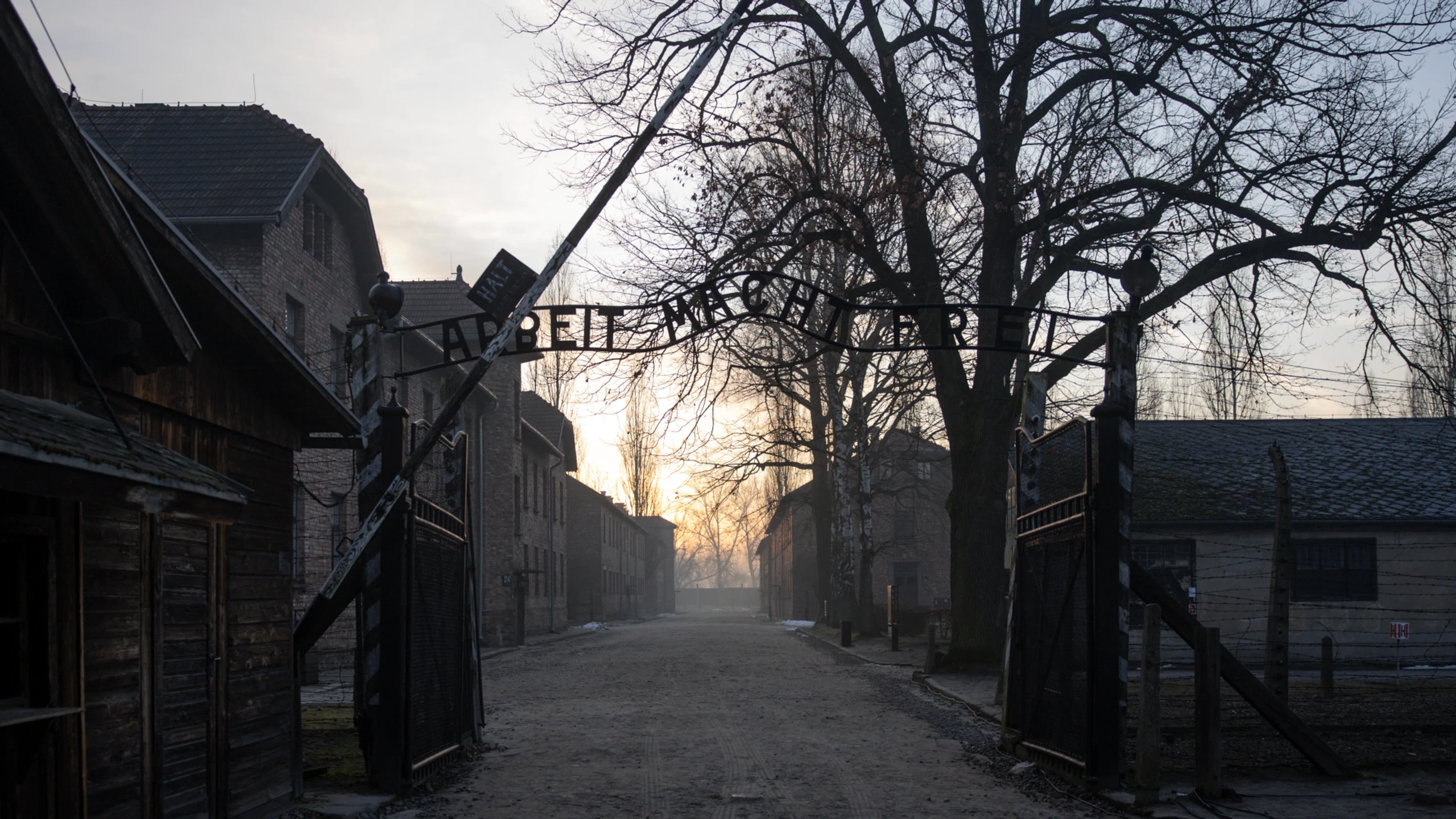 Schlaglichter: Bei uns in Auschwitz
