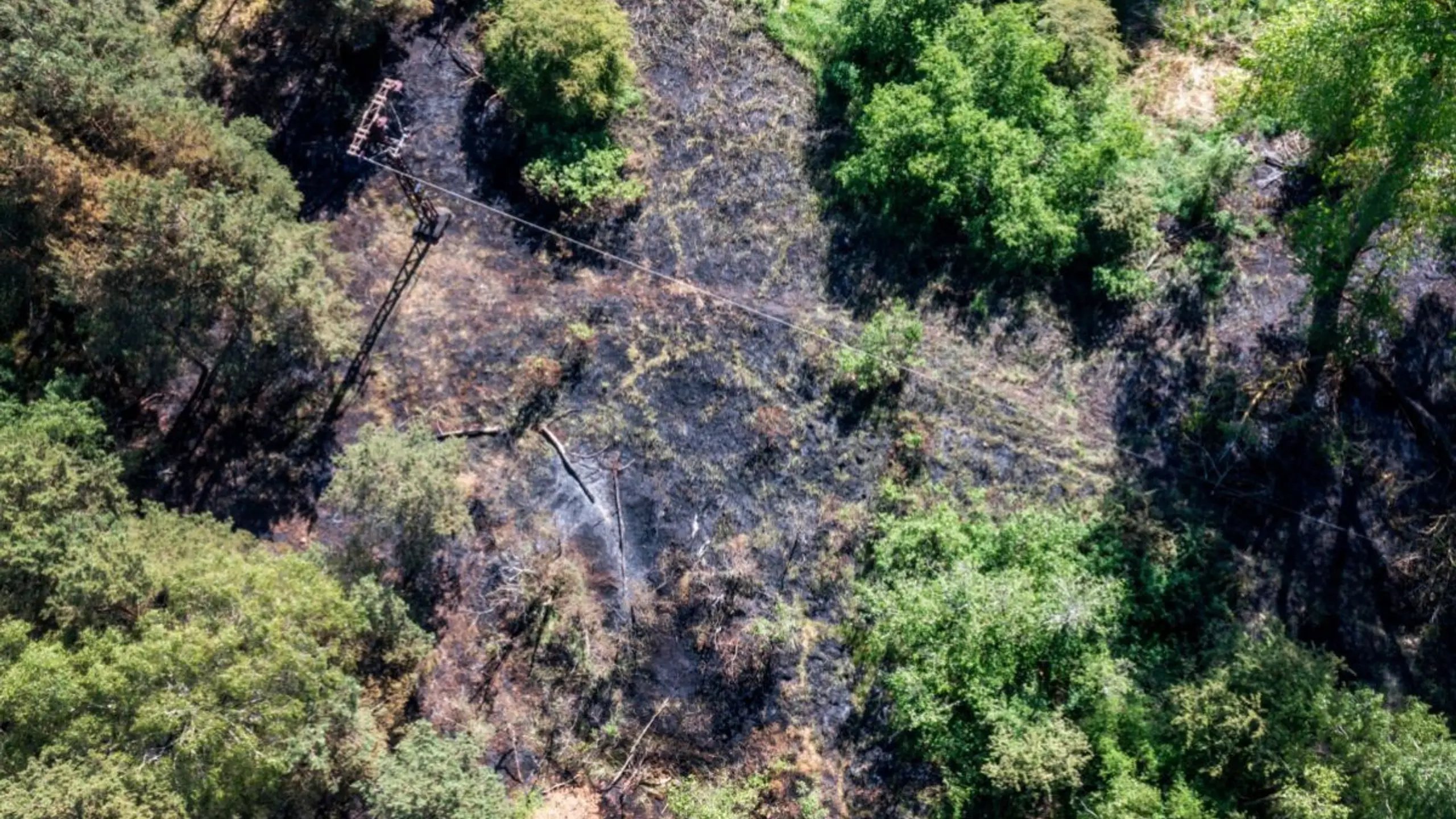 Waldbrände machen nach drei Jahren 21 Prozent der Emissionen aus