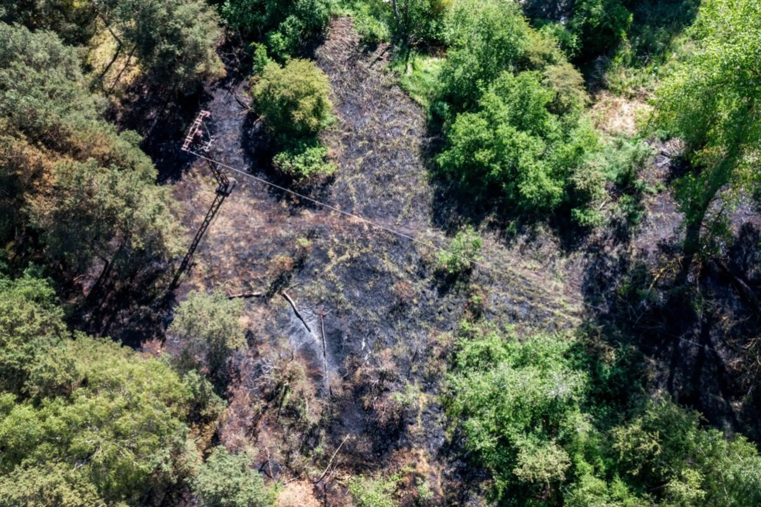 Waldbrände machen nach drei Jahren 21 Prozent der Emissionen aus