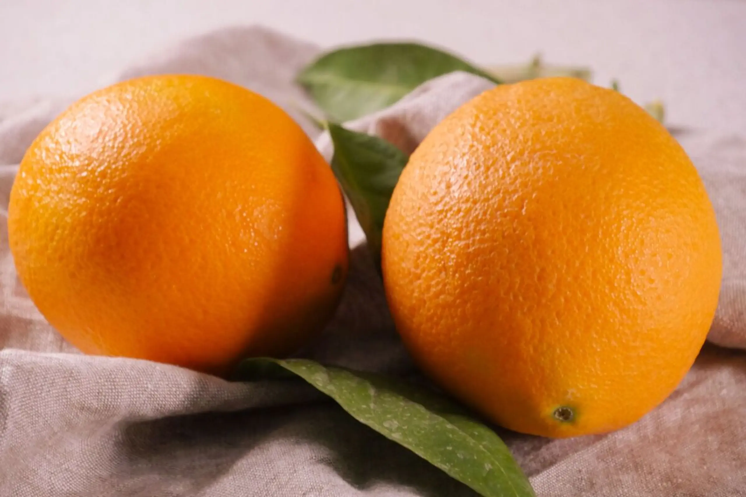 Orangen schmecken gut und liefern Vitamin C