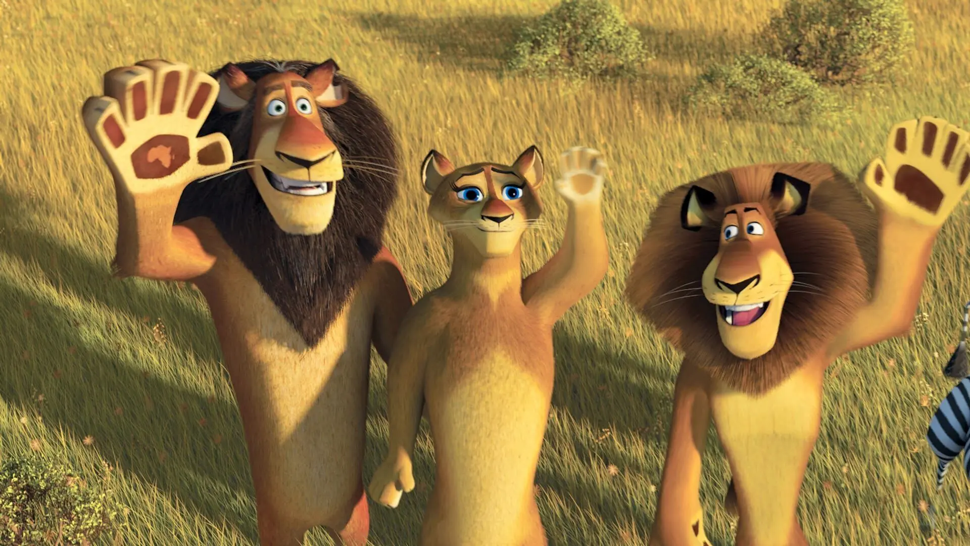 Madagascar 2