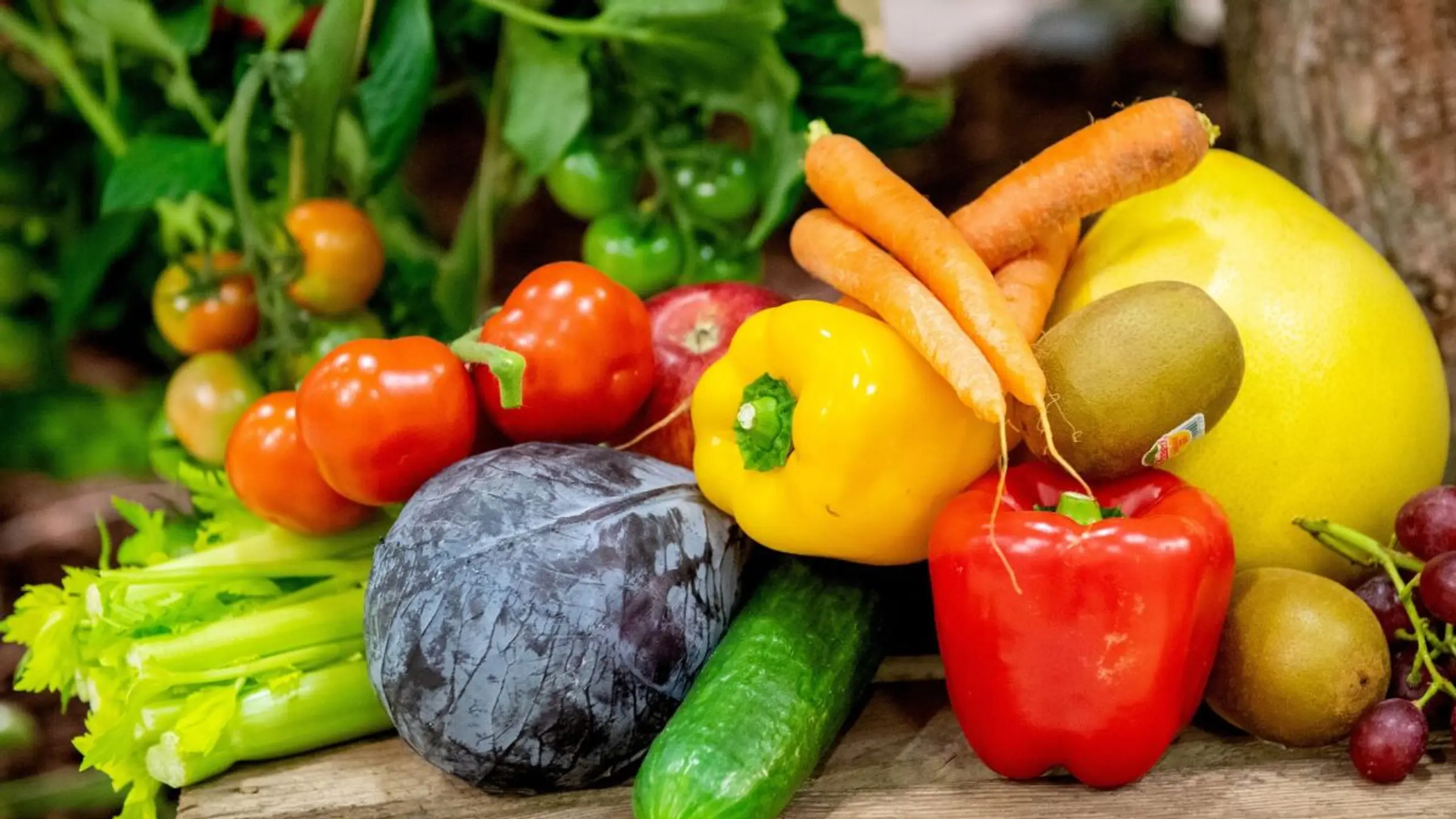 Veganer sollten auf eine carotinhaltige Ernährung achten