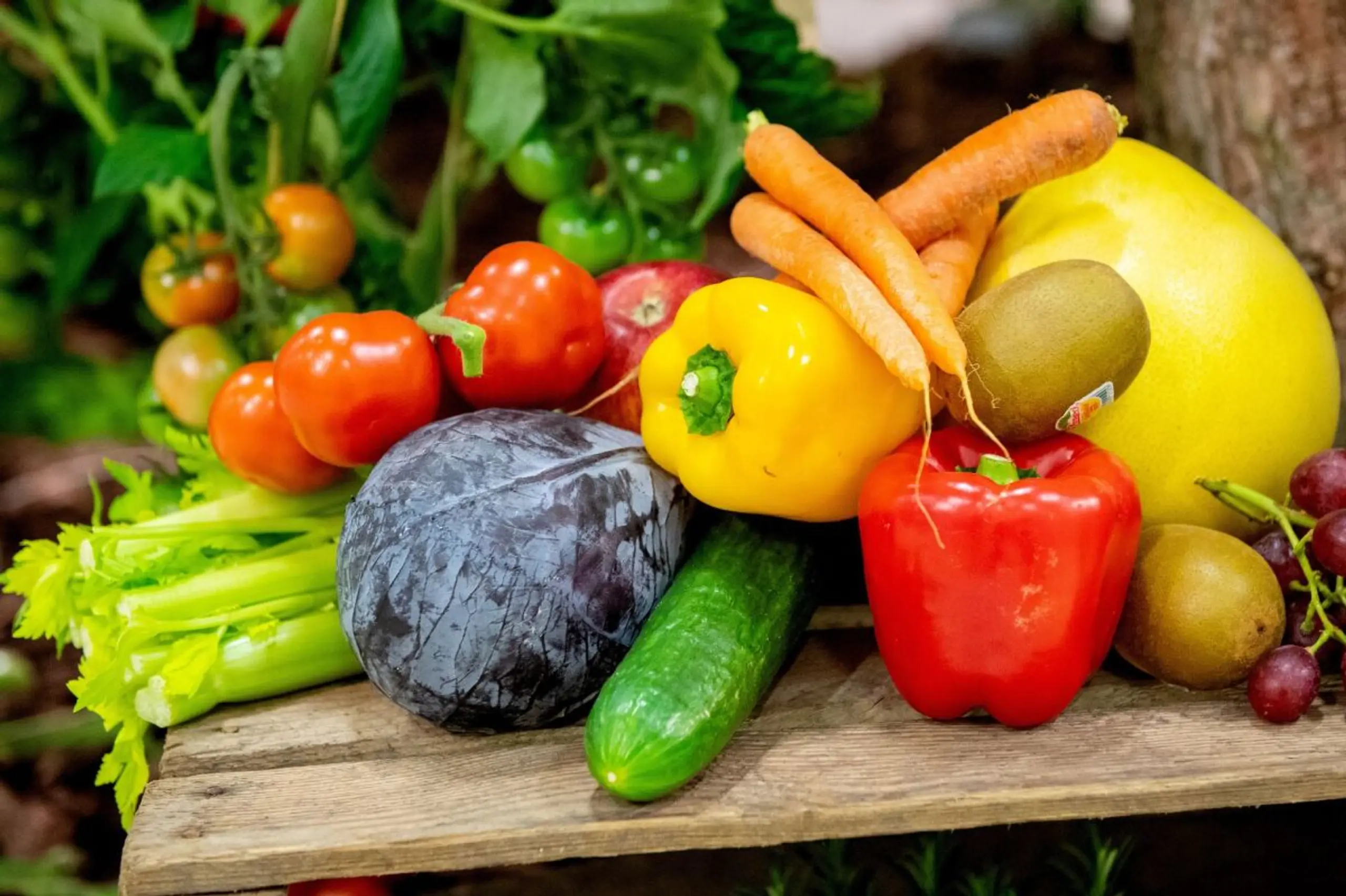 Veganer sollten auf eine carotinhaltige Ernährung achten