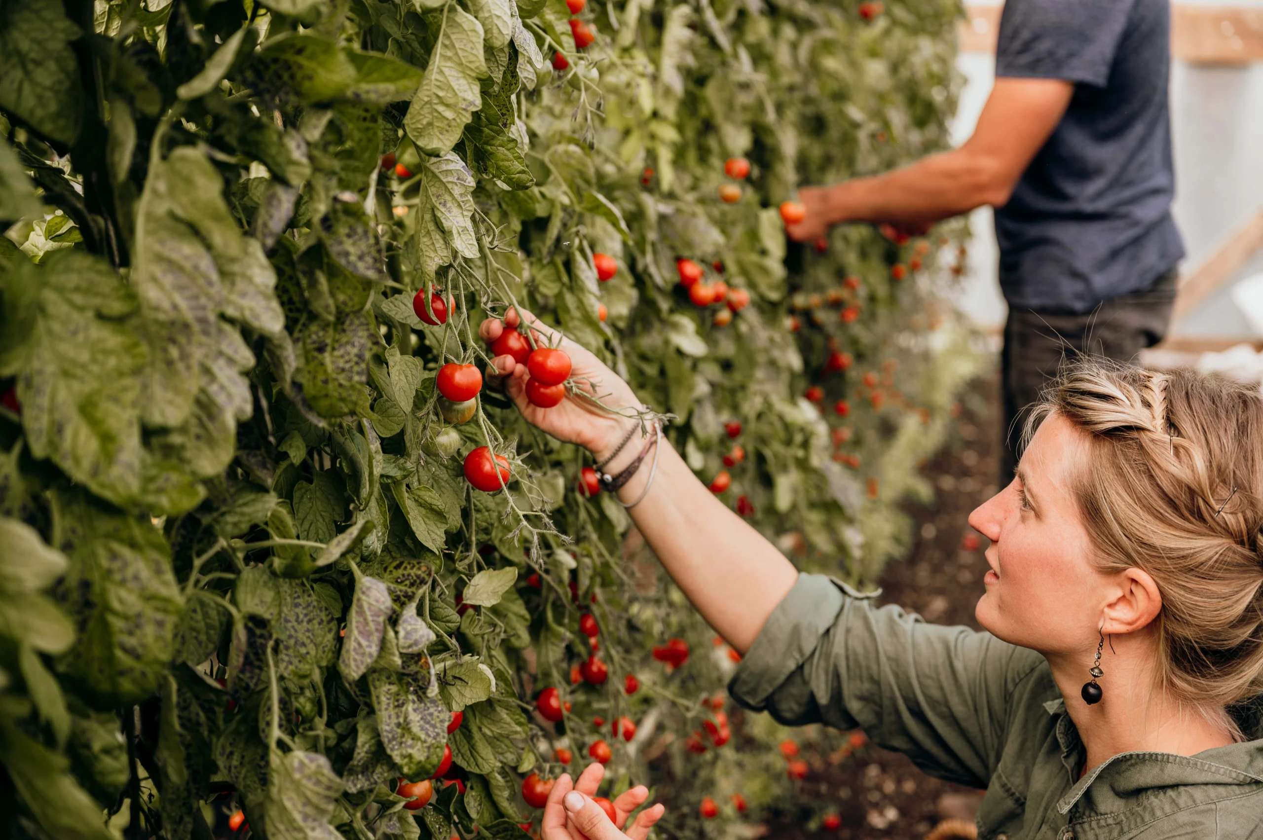 © Genussreich / Freilichtmomente Blurred image background