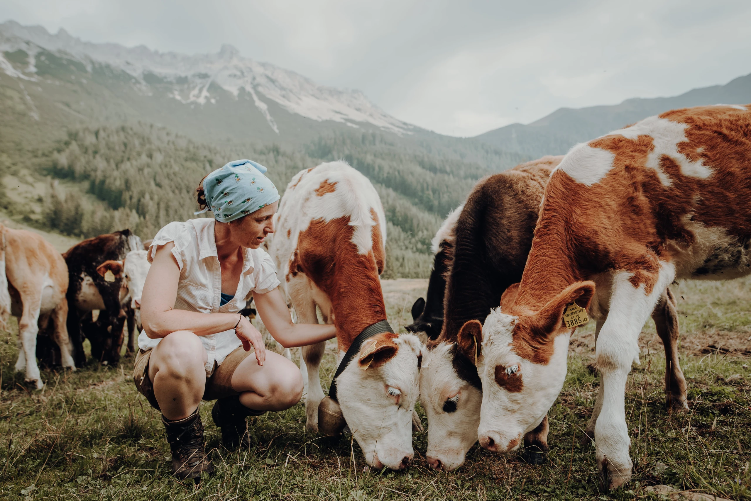 © Genussreich / Freilichtmomente Blurred image background