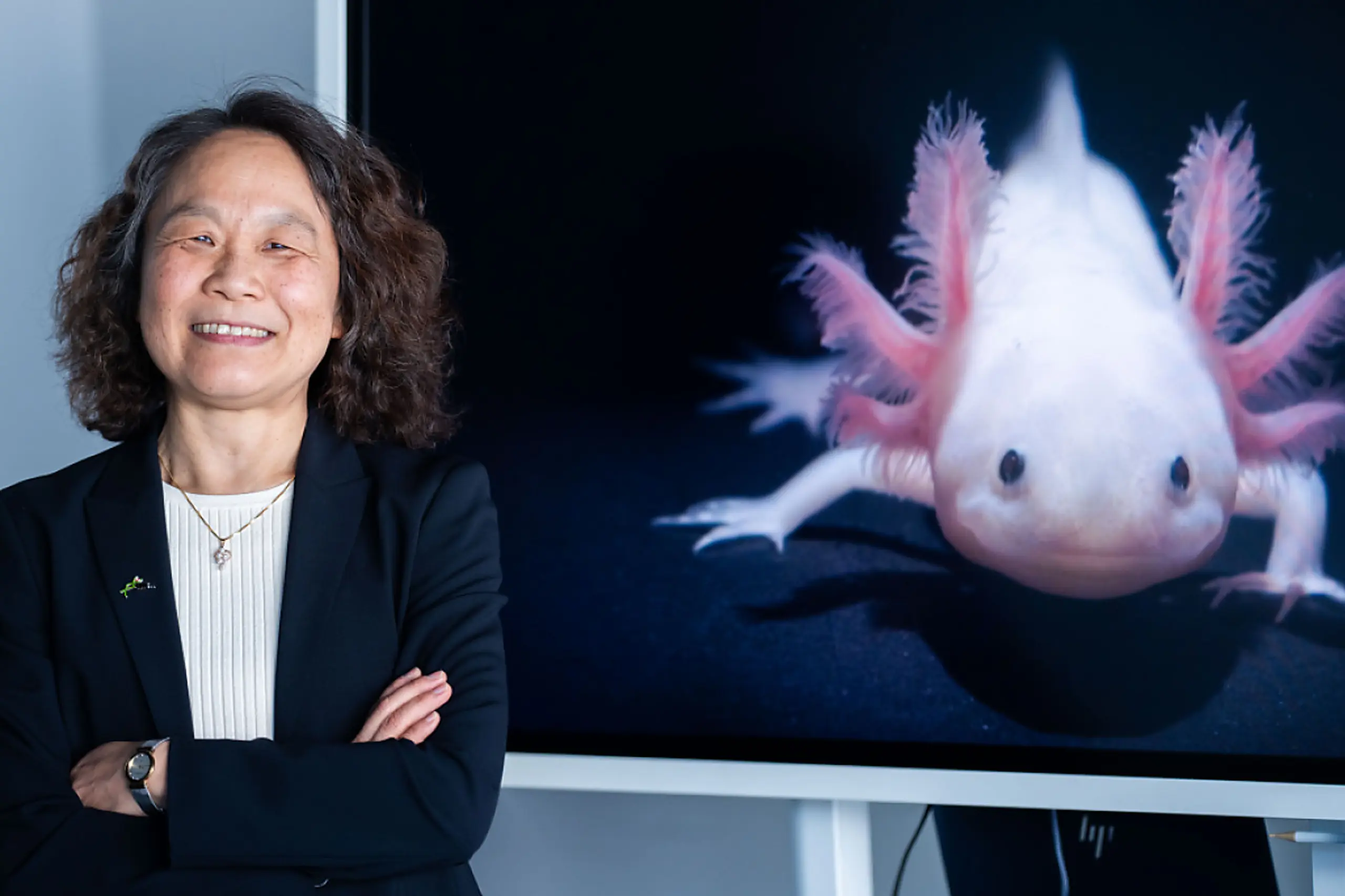 Die Wächterin über die Axolotl: Biochemikerin Elly Tanaka