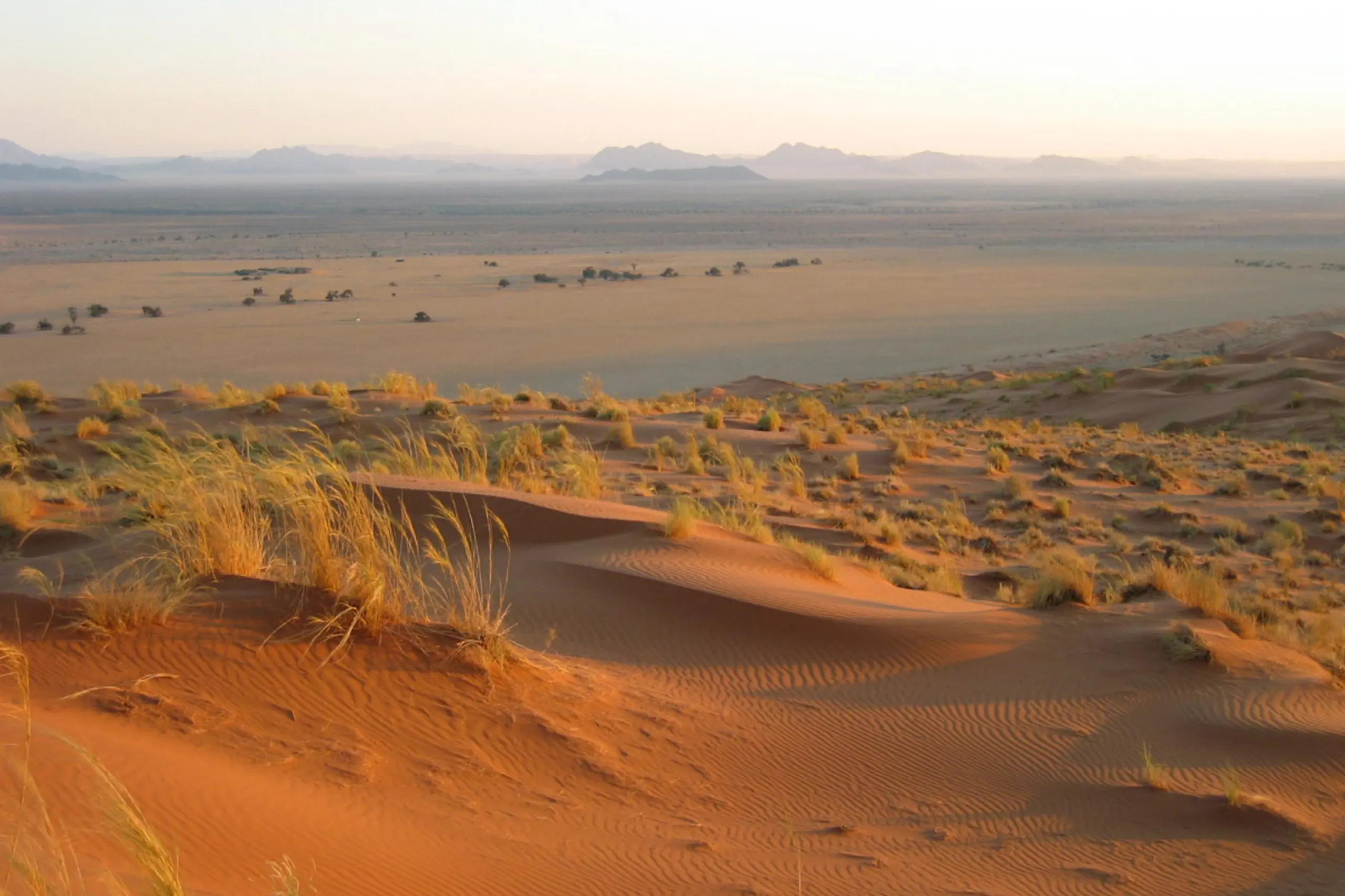 Die Forscher entdeckten die Röhre unter anderem in den Wüstengebieten von Namibia