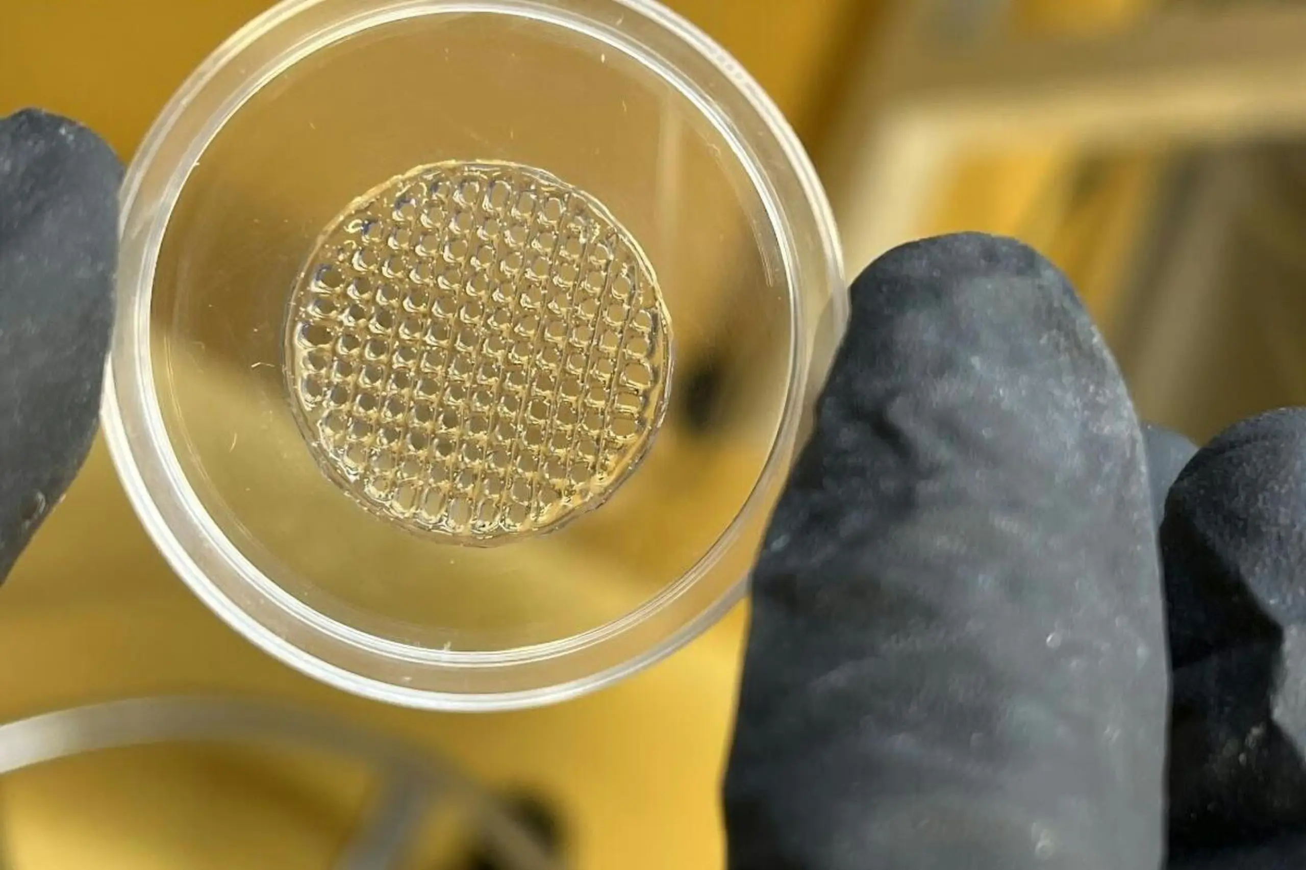3D-gedruckte Struktur aus optimiertem Hydrogel
