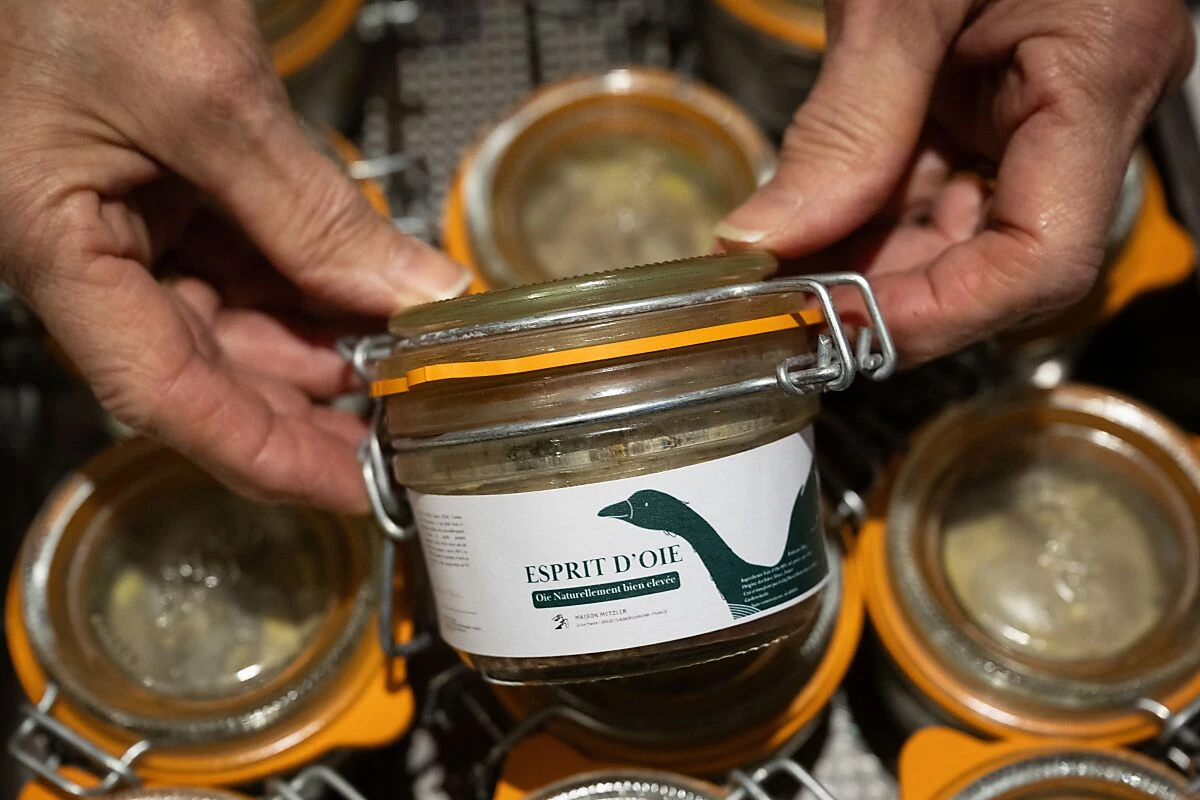 Zur Herstellung von Foie Gras wird Enten und Gänsen kalorienreiche Nahrung durch ein Rohr in den Magen gepresst
