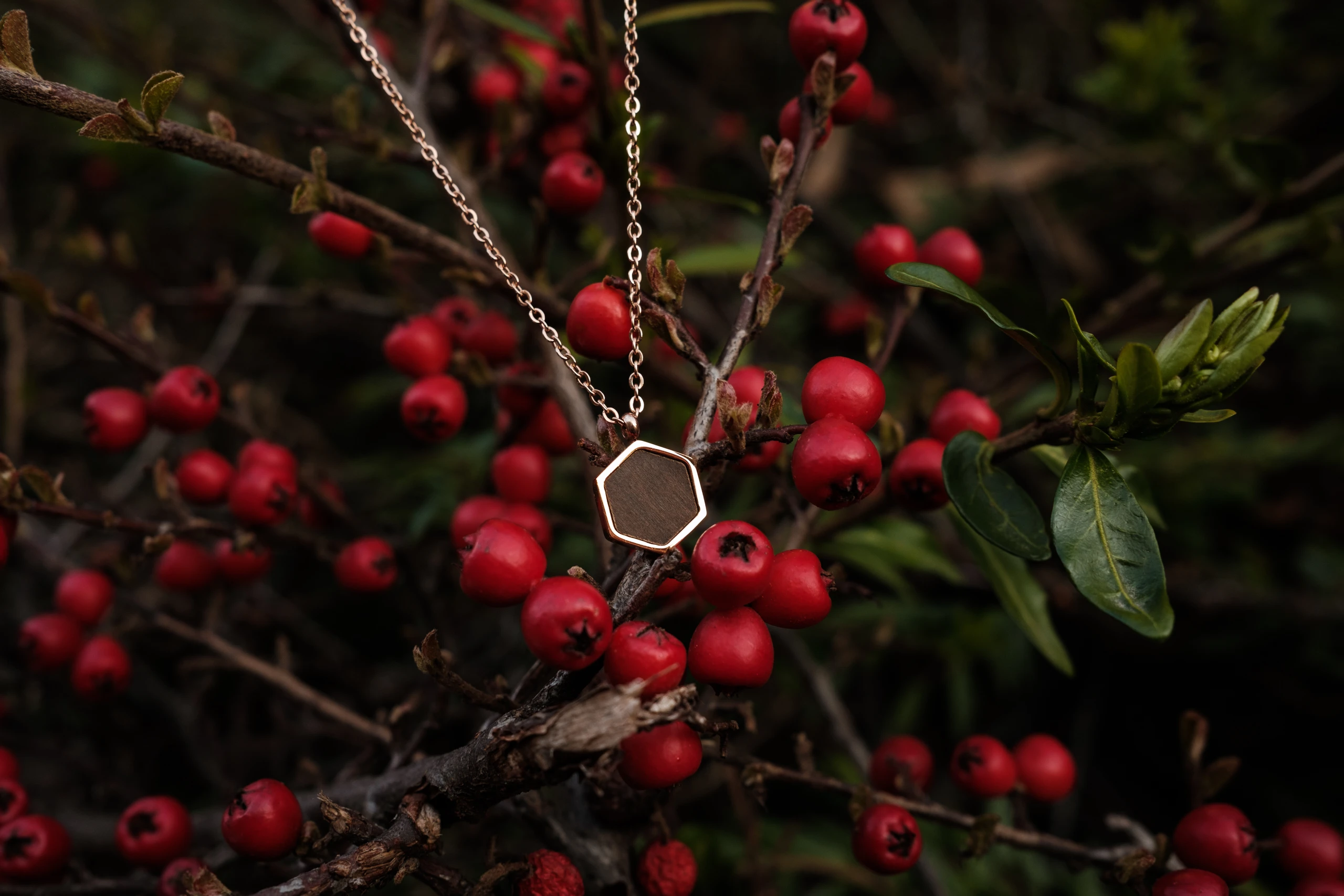 Blurred image background