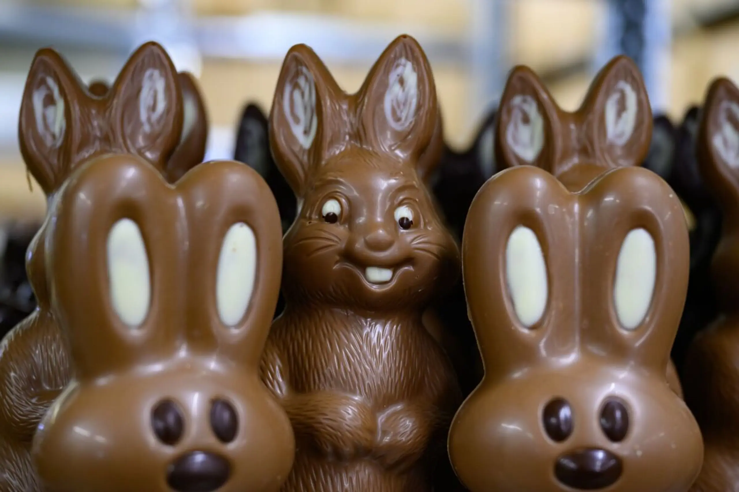 Der Schoko-Osterhase ist deutlich teurer als herkömmliche Schokolade