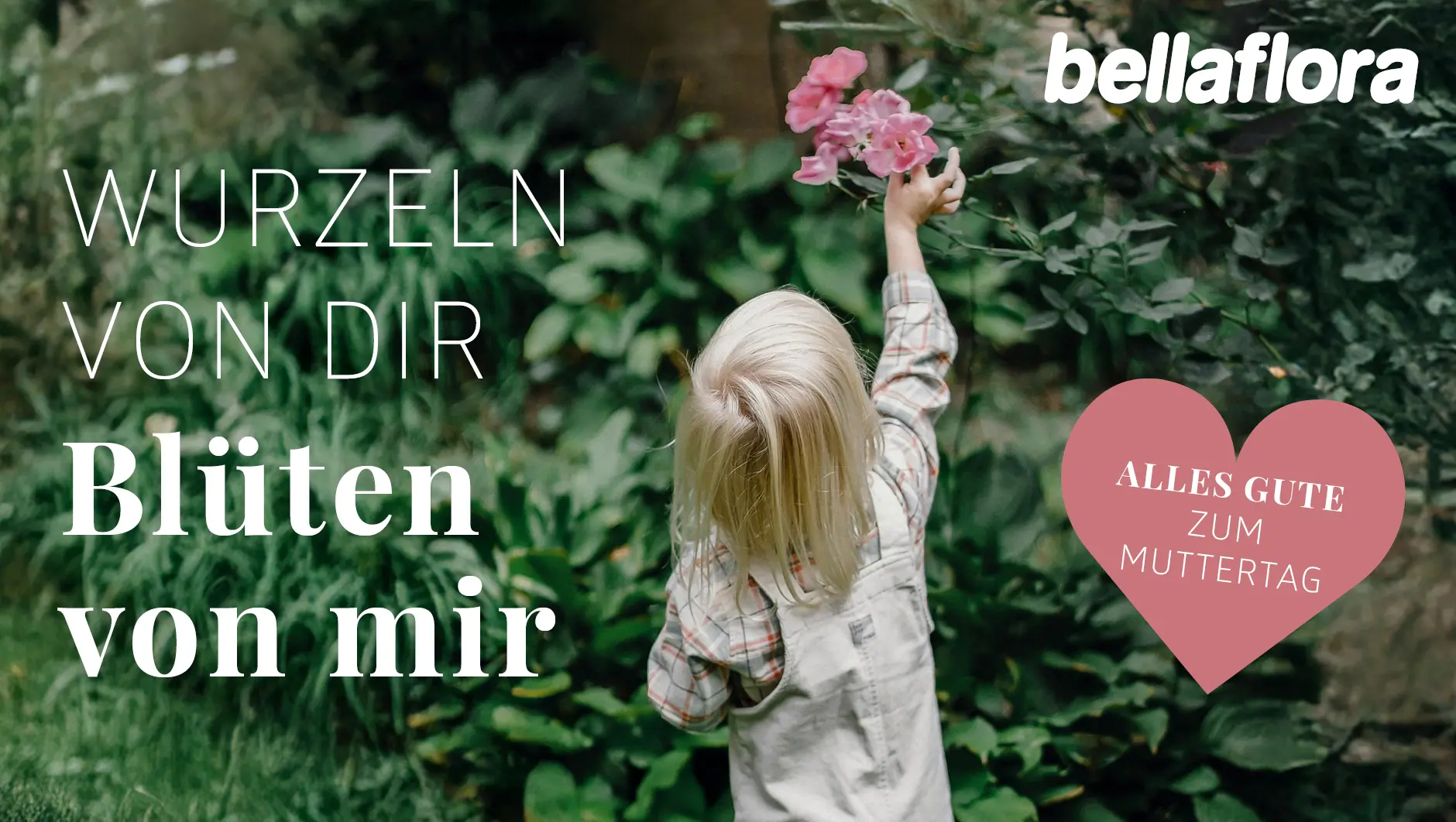 Wurzeln von dir, Blüten von mir