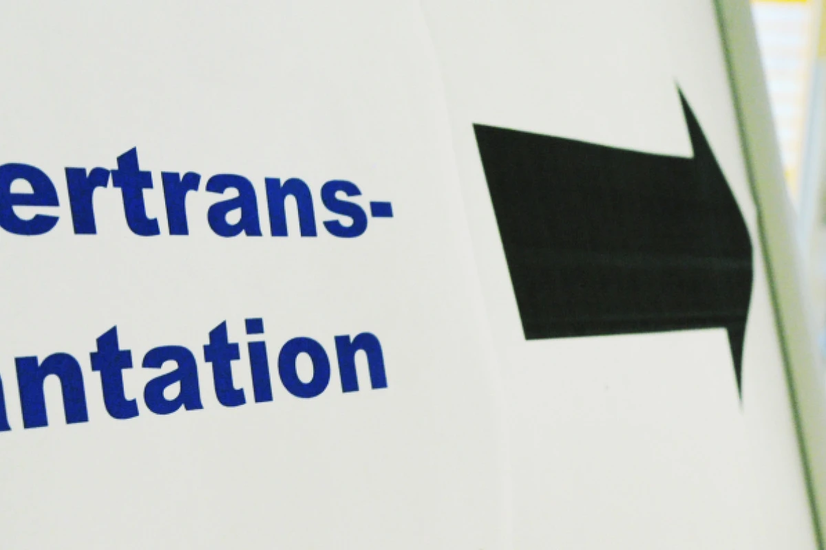 Lebertransplantationen werden für Kliniken planbarer