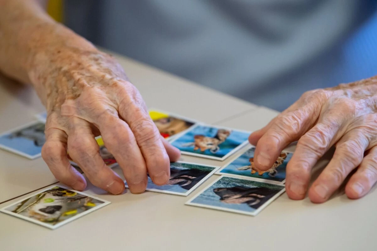 ++ ARCHIVBILD ++ Fachleuten zufolge kommt aber nur ein sehr kleiner Teil der Alzheimer-Patienten für diese Therapie infrage