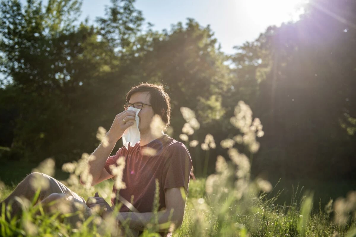 Pollen schränken Allergiker im Alltag ein