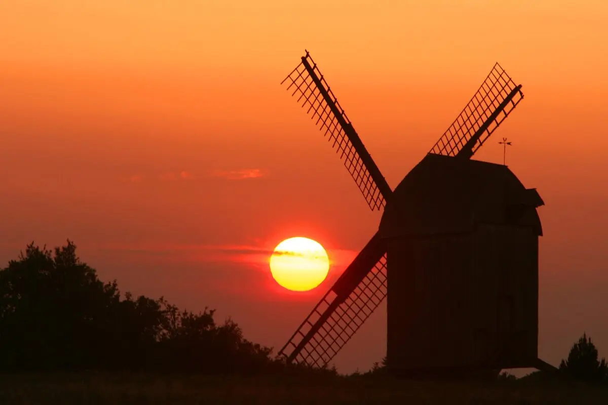 Hollands Mühlen ziehen zu viele Touristen an