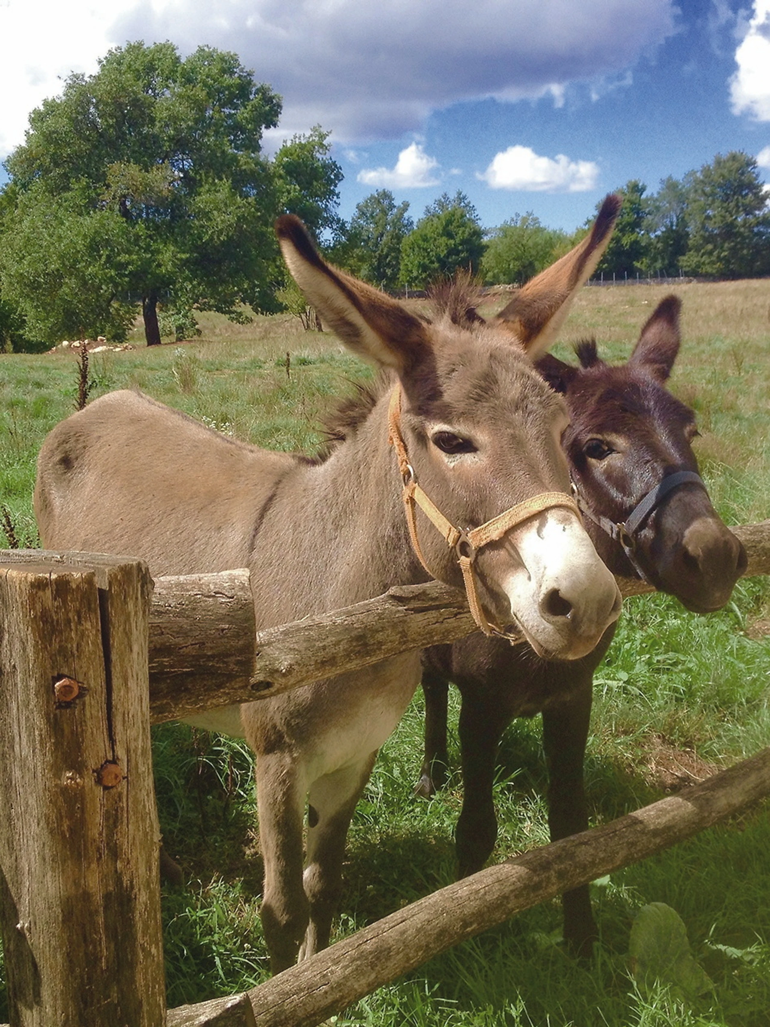 © Beigestellt Blurred image background