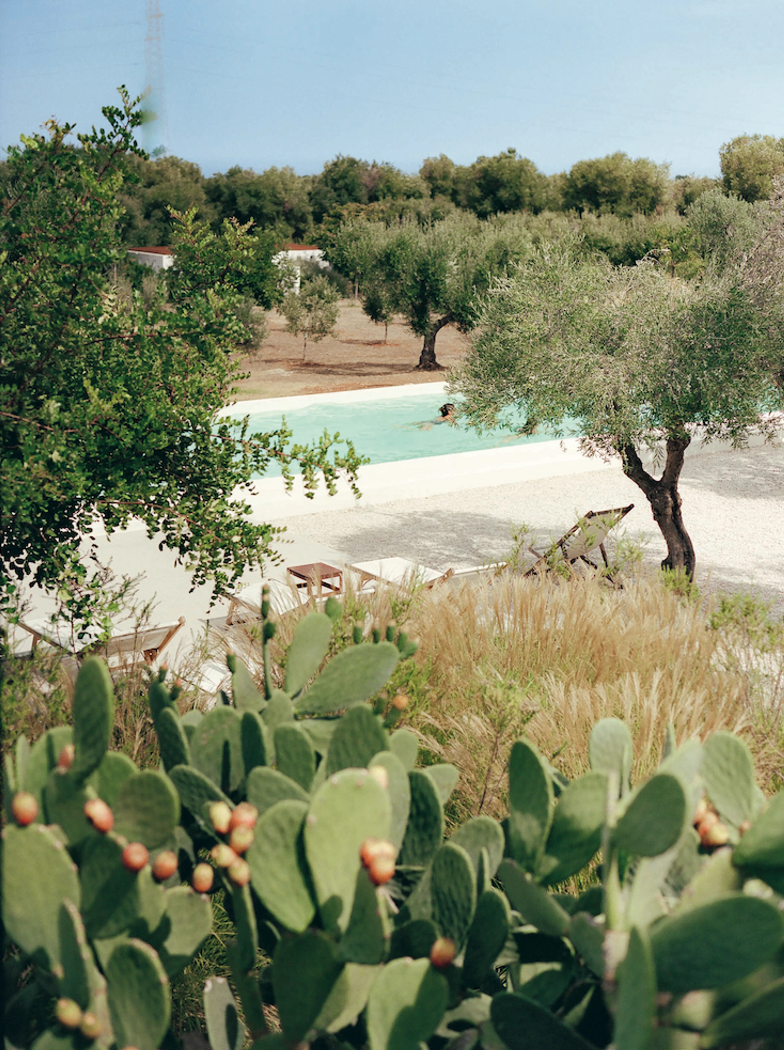 © Maureen M. Evans Blurred image background