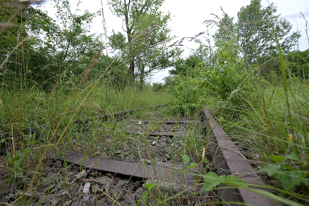 In Breitenlee ist ein wichtiger Natur-Zufluchtsort entstanden