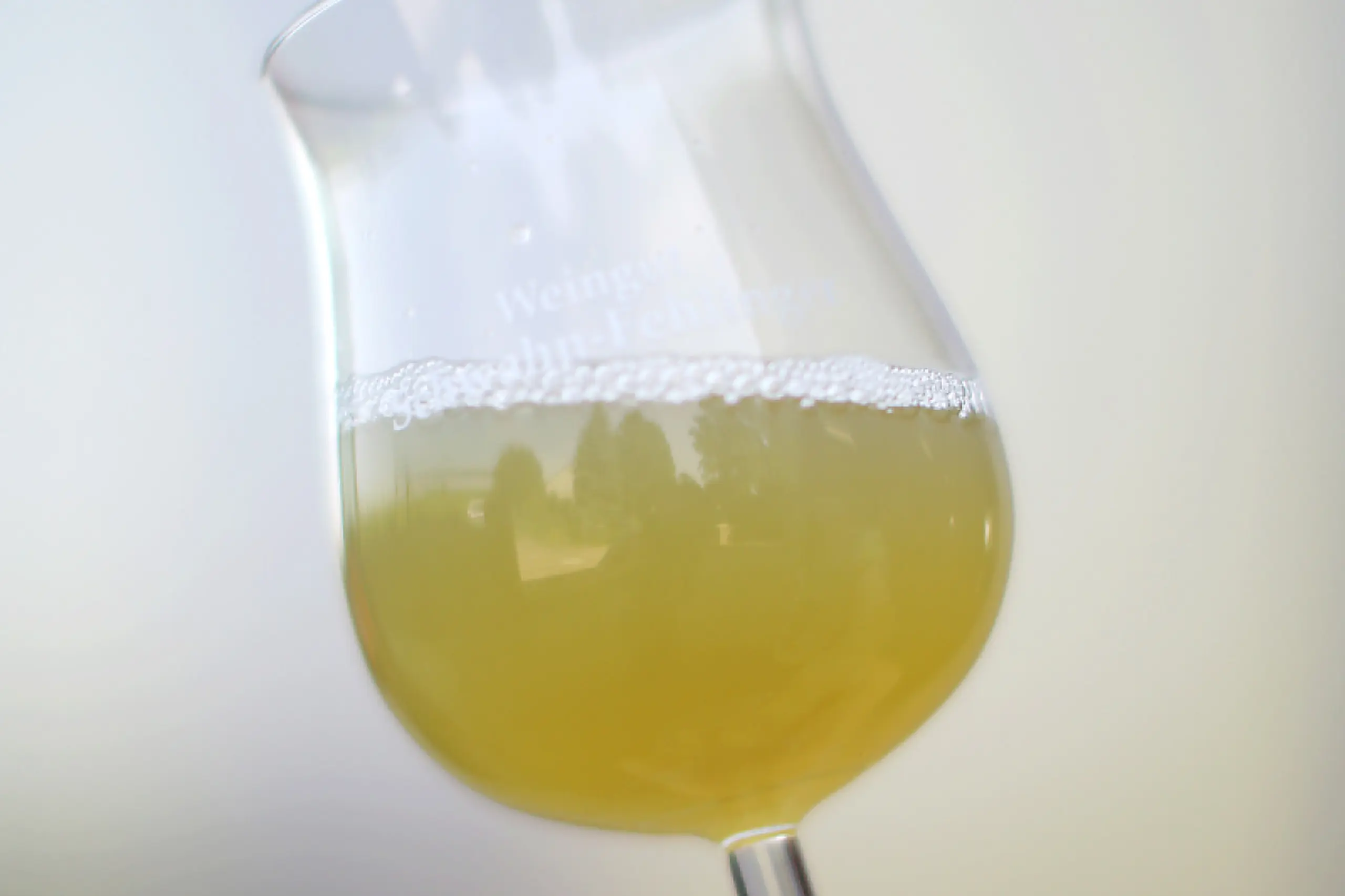 Wein austesten kann richtig Spaß machen