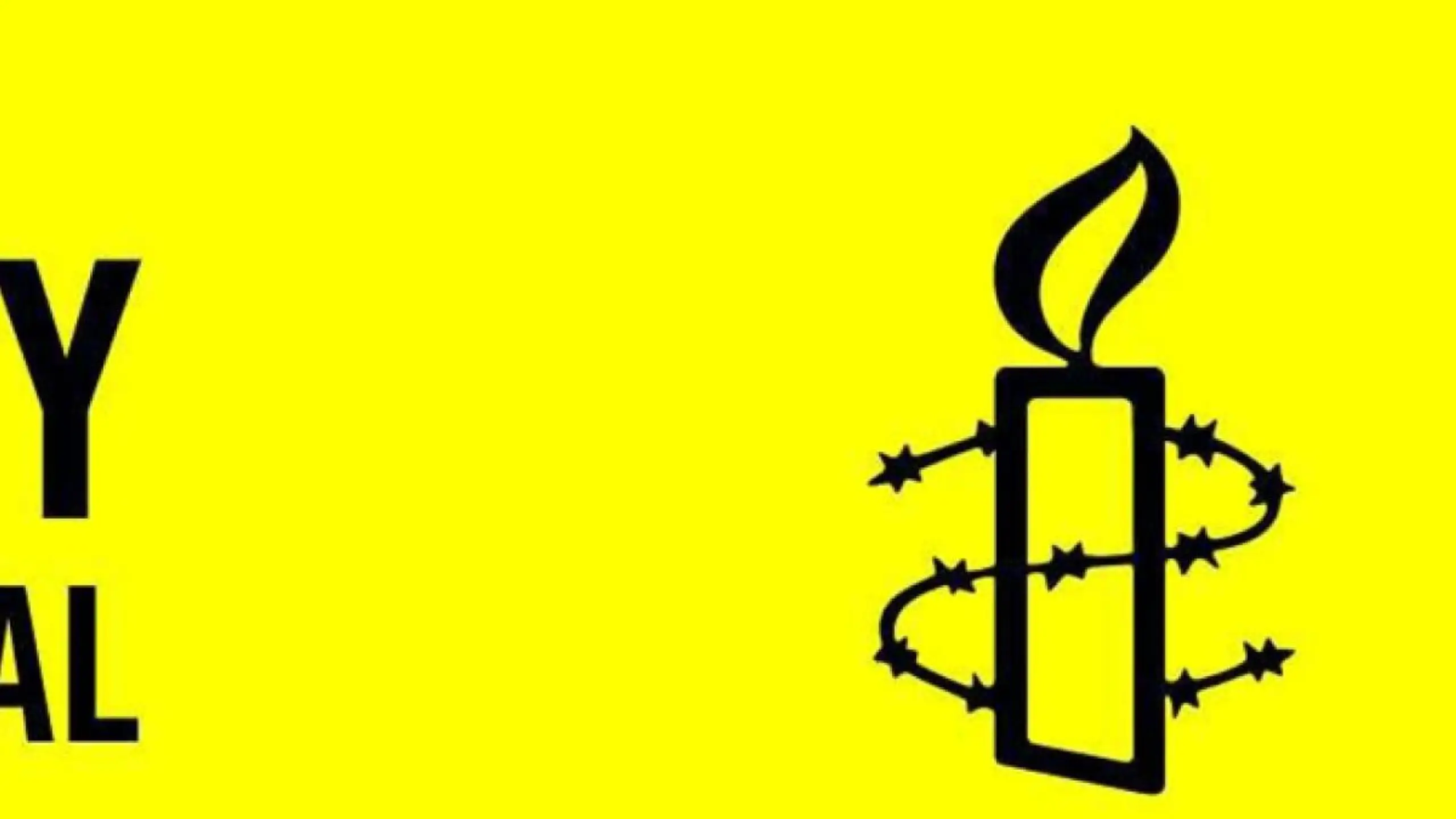 Amnesty fand in Österreich viele Kritikpunkte