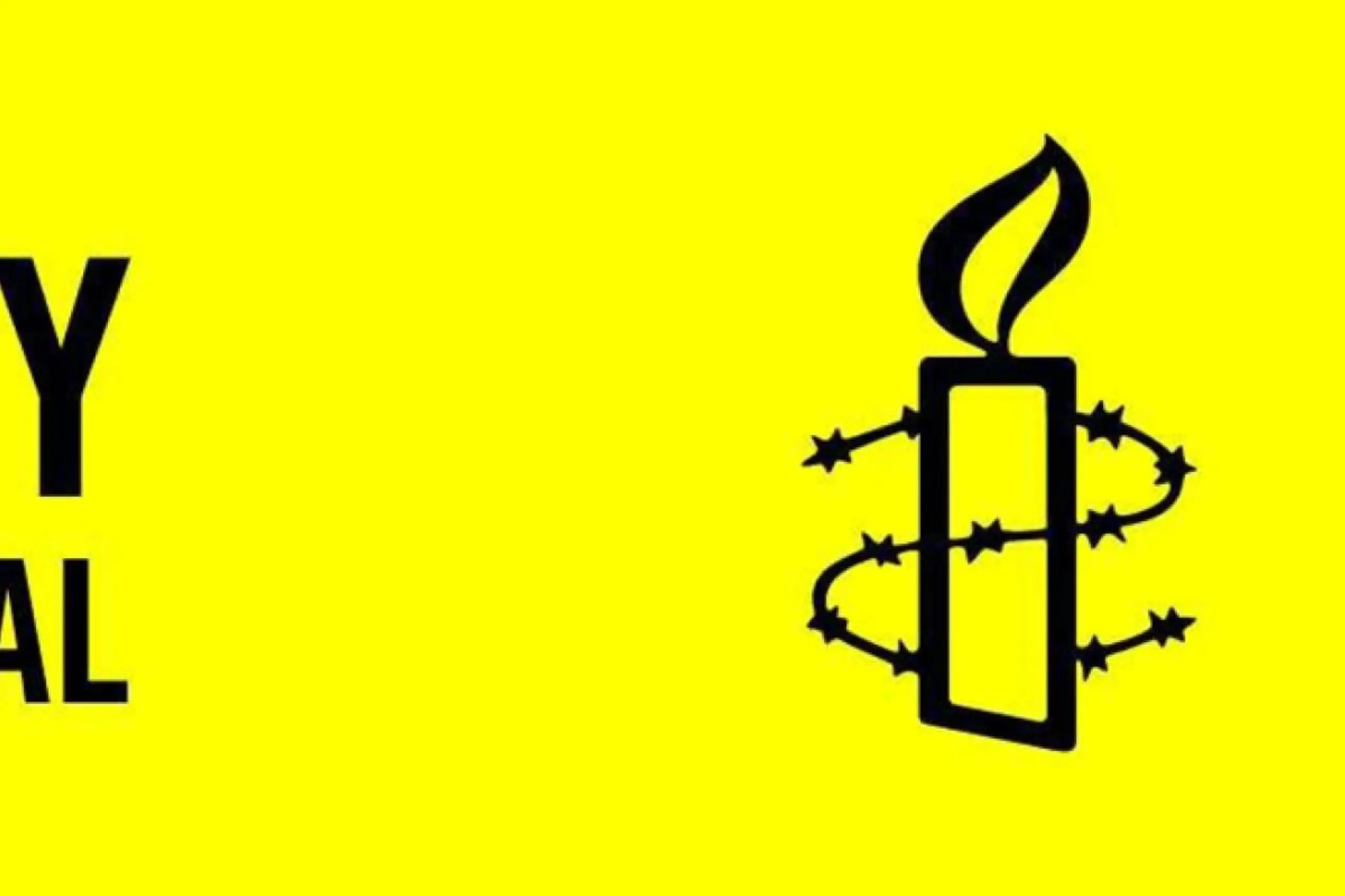 Amnesty fand in Österreich viele Kritikpunkte